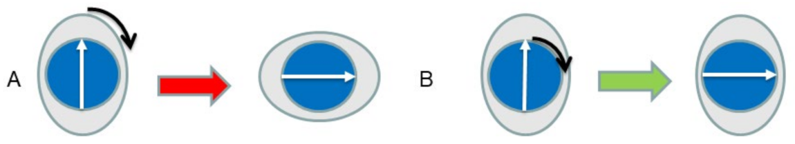 Sensors 23 04411 g002