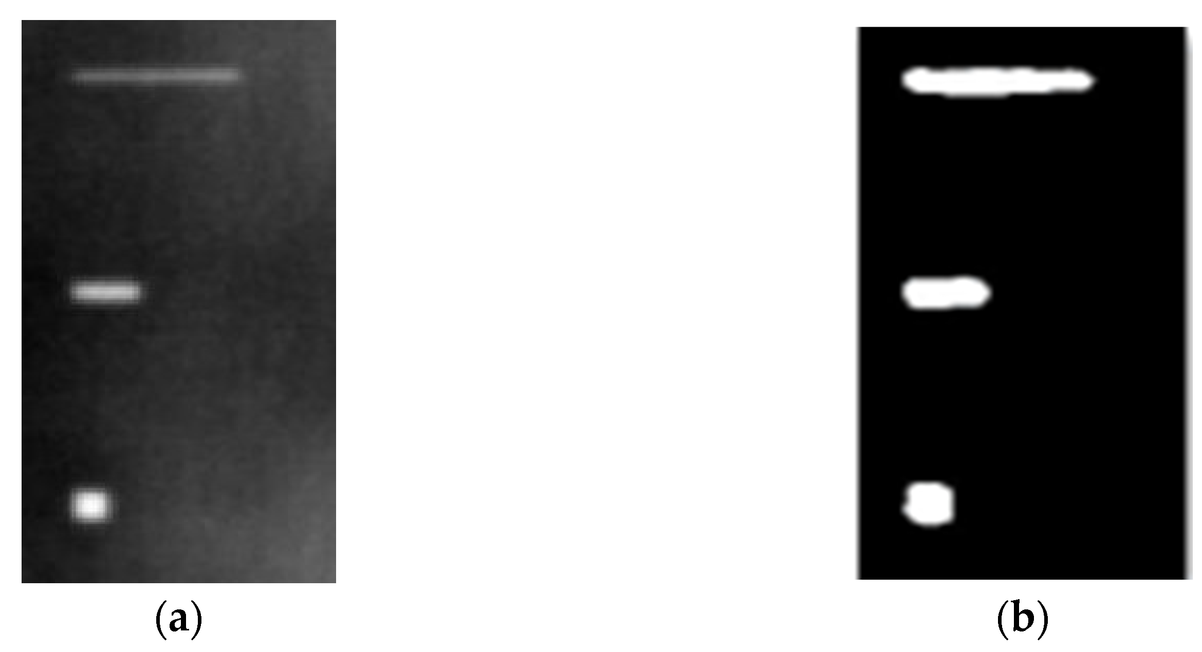 Sensors 23 04444 g013 Sensors 23 04444 g013