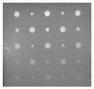 Sensors 23 04444 i049 Sensors 23 04444 i049