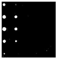 Sensors 23 04444 i058 Sensors 23 04444 i058