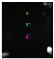 Sensors 23 04444 i067 Sensors 23 04444 i067