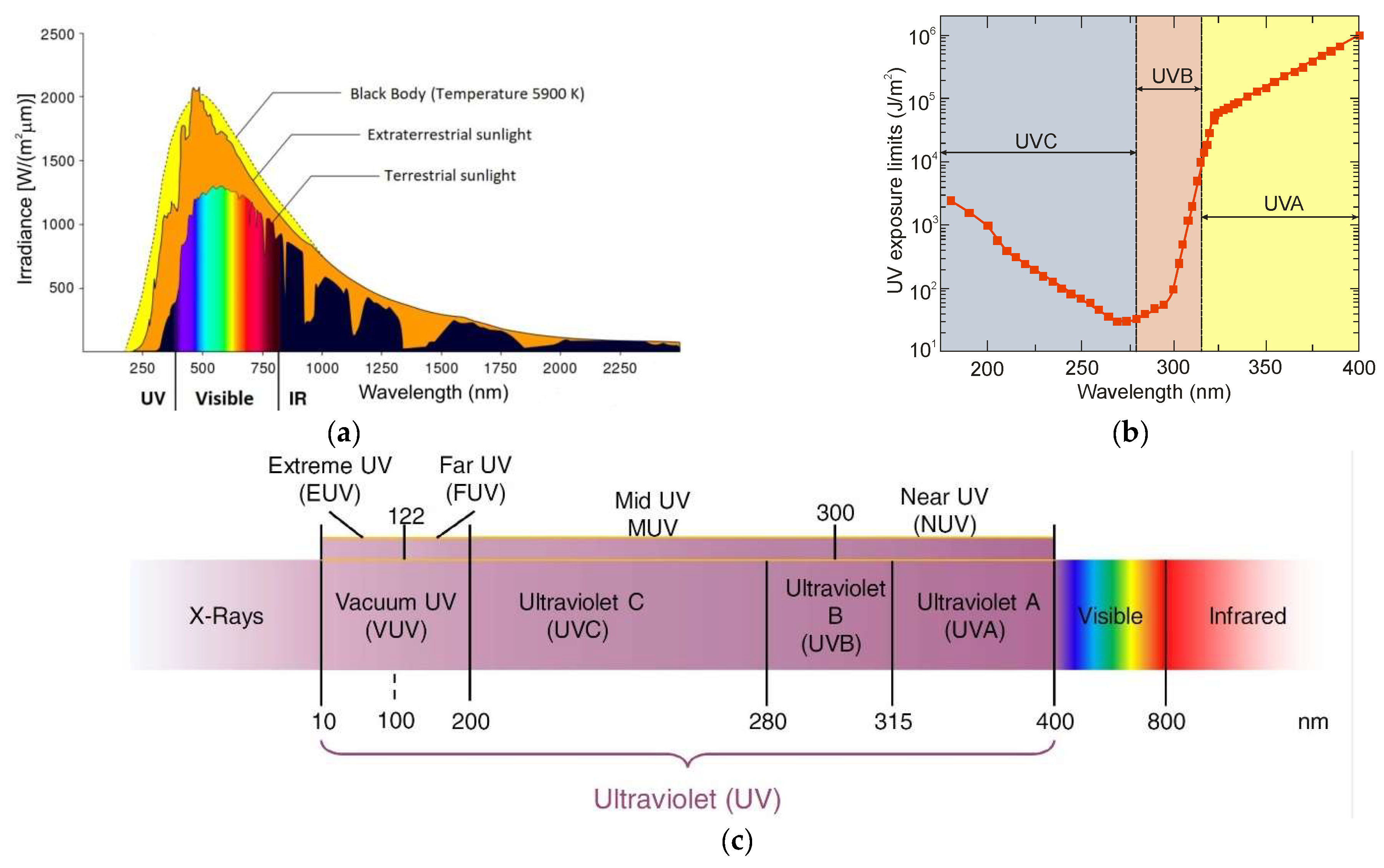 Oscillogram of the photodiode signal: a, coherent 38D resonance (UV