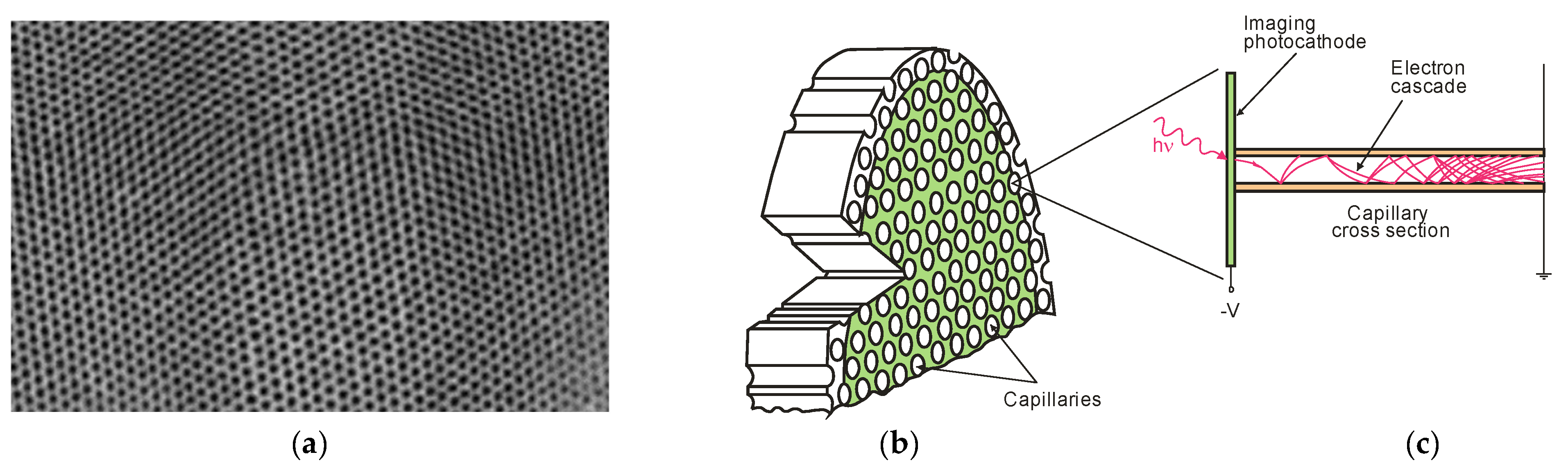 Sensors 23 04452 g011