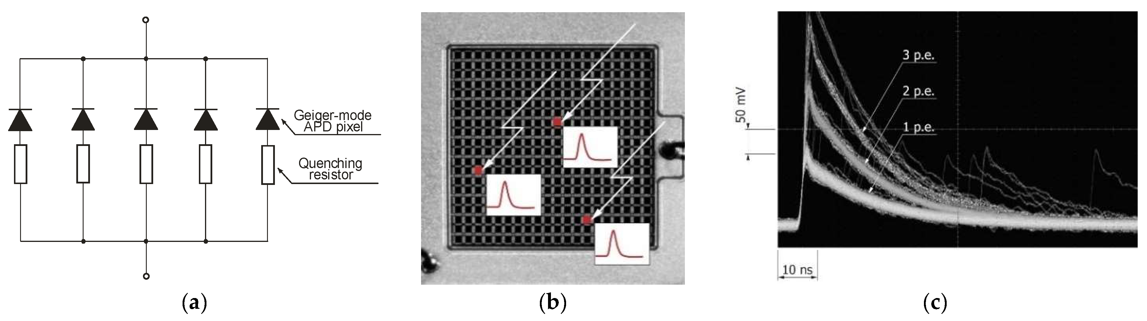 Sensors 23 04452 g019