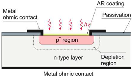 Sensors 23 04452 i005