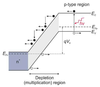 Sensors 23 04452 i010