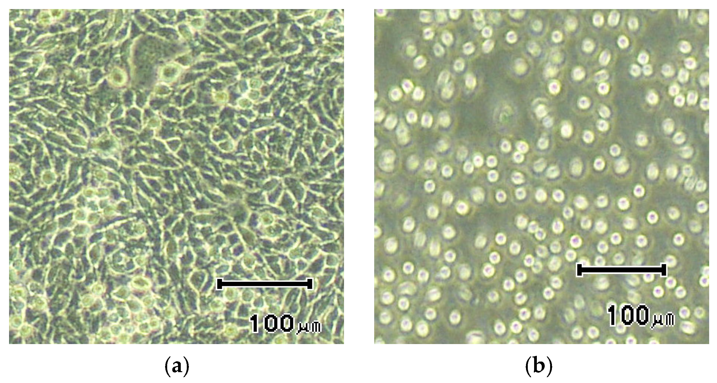Sensors 23 04453 g011 Sensors 23 04453 g011