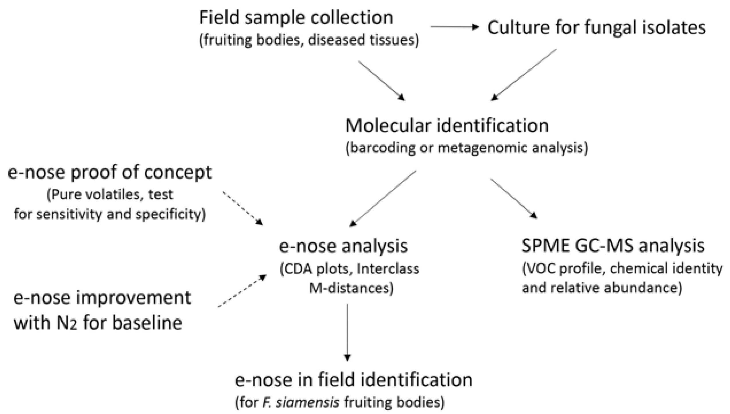 Sensors 23 04538 g001 Sensors 23 04538 g001