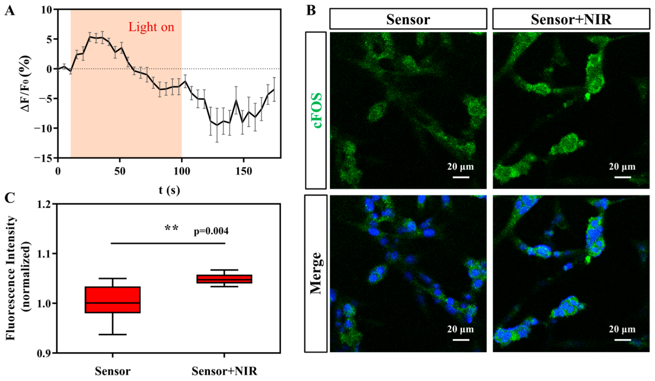 Sensors 23 04560 g006 Sensors 23 04560 g006