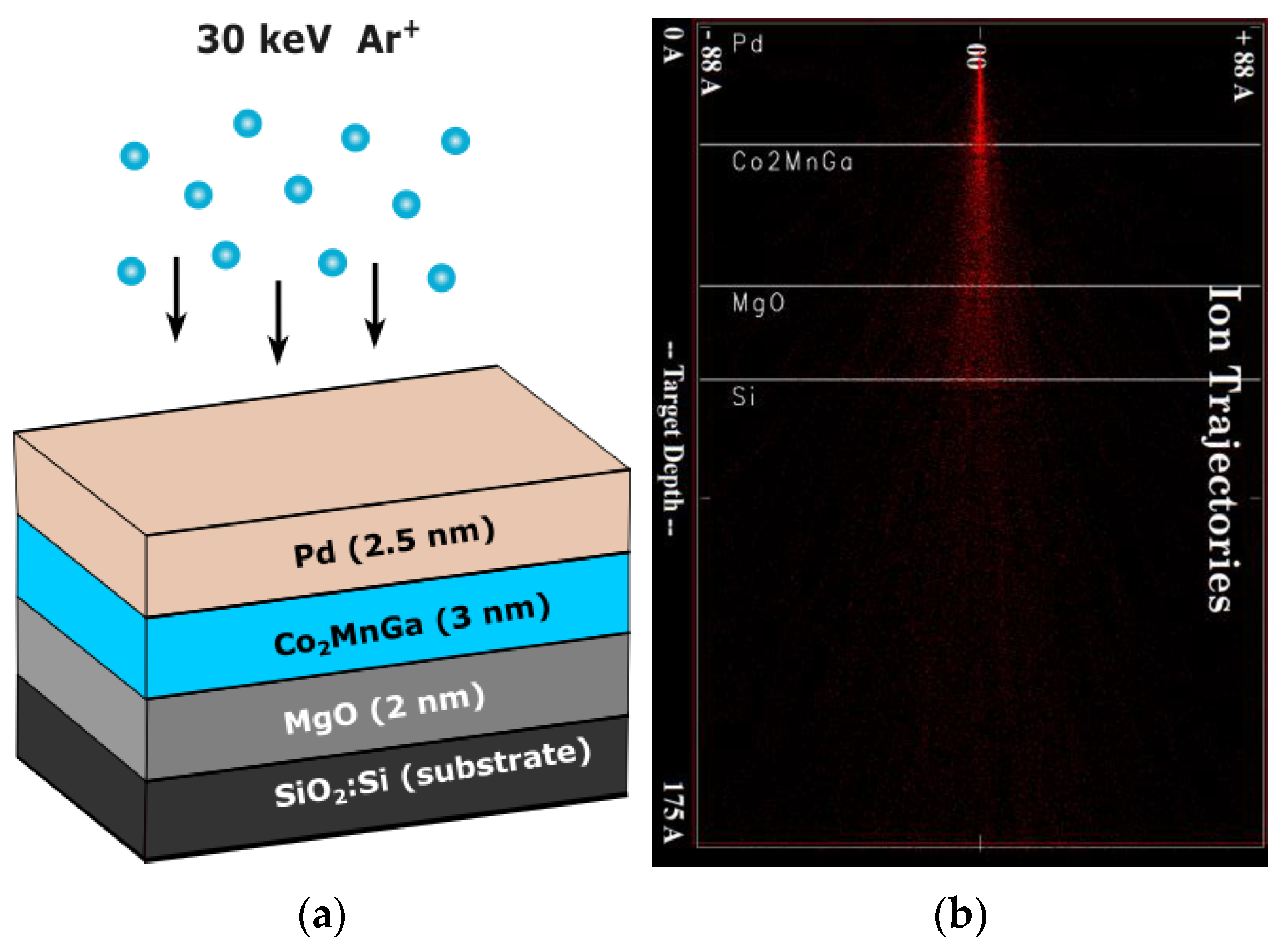 Sensors 23 04564 g001 Sensors 23 04564 g001