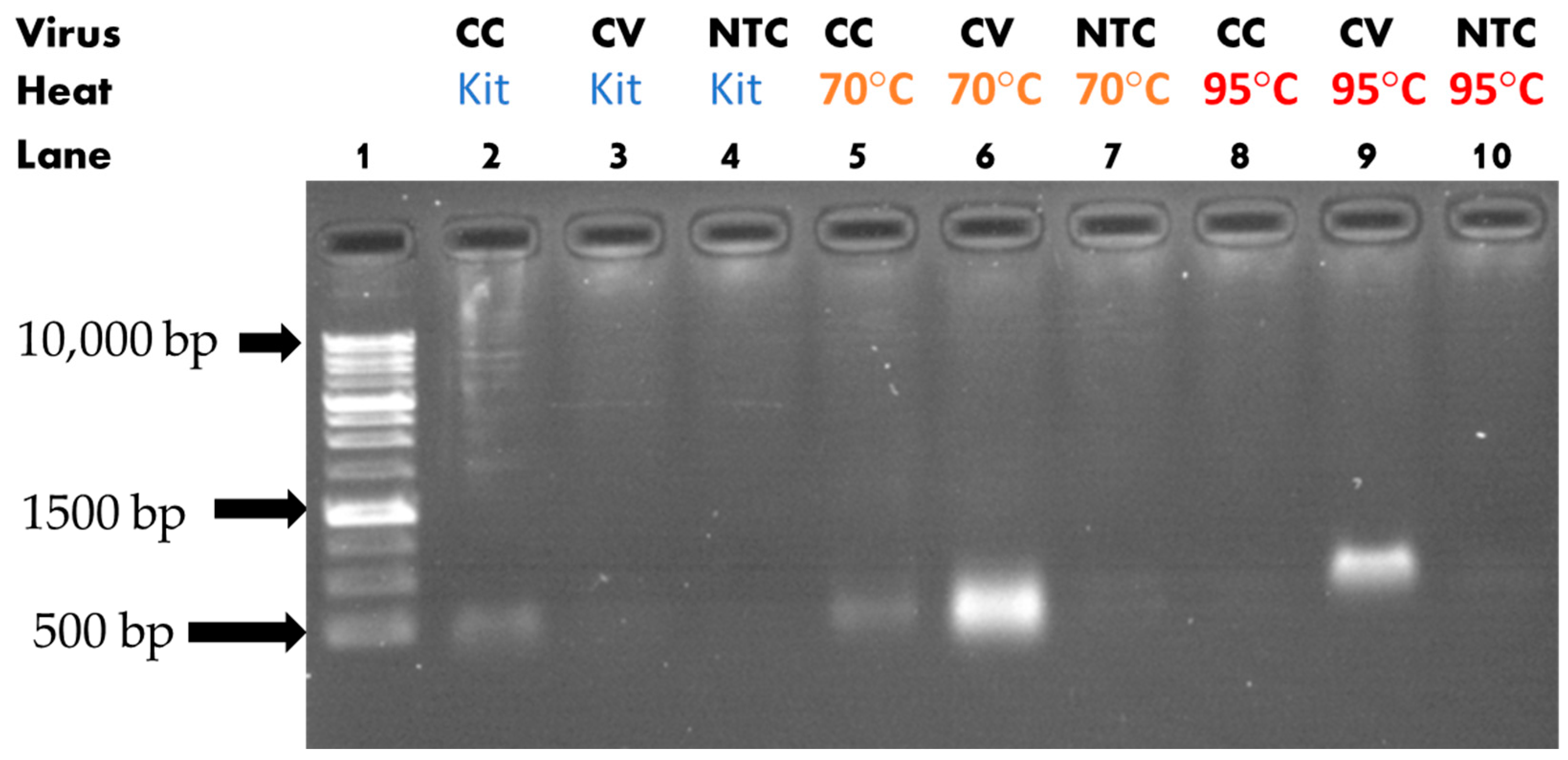 Sensors 23 04604 g005 Sensors 23 04604 g005