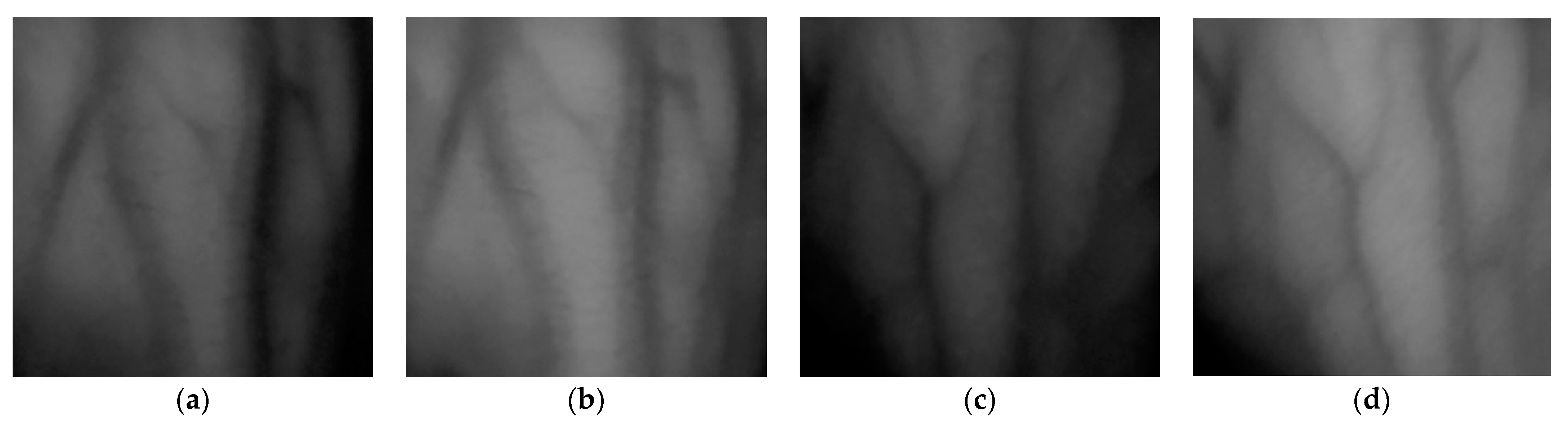 Sensors 23 04625 g018 Sensors 23 04625 g018