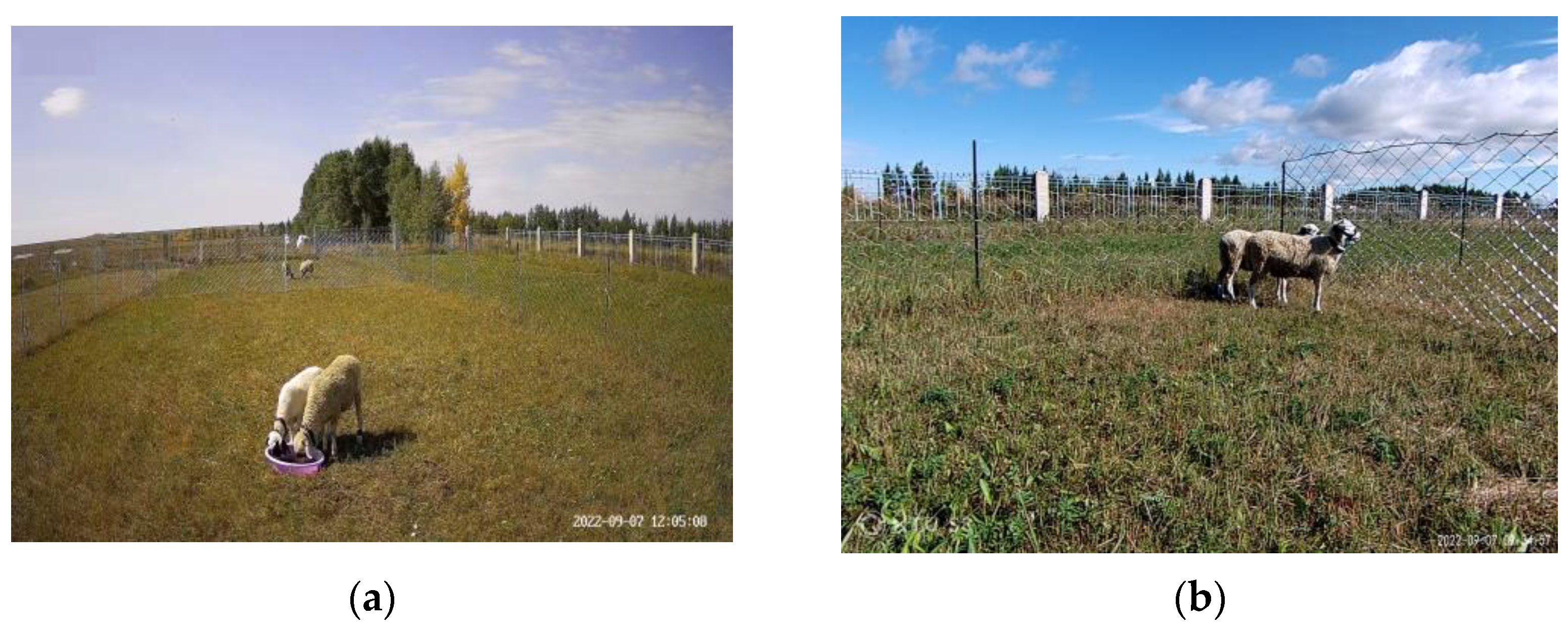 Sensors 23 04752 g003