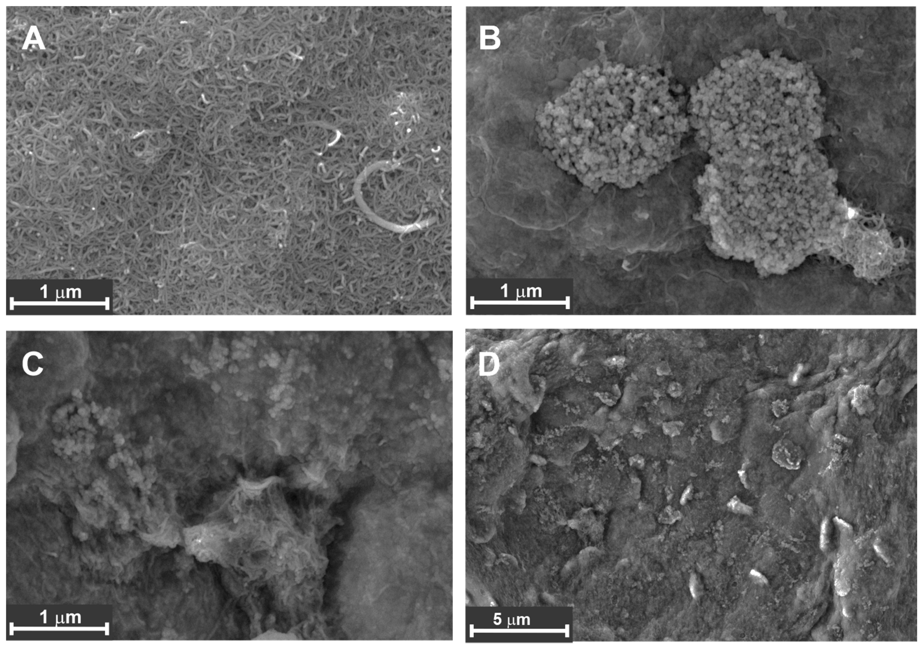 Sensors 23 04761 g009 Sensors 23 04761 g009