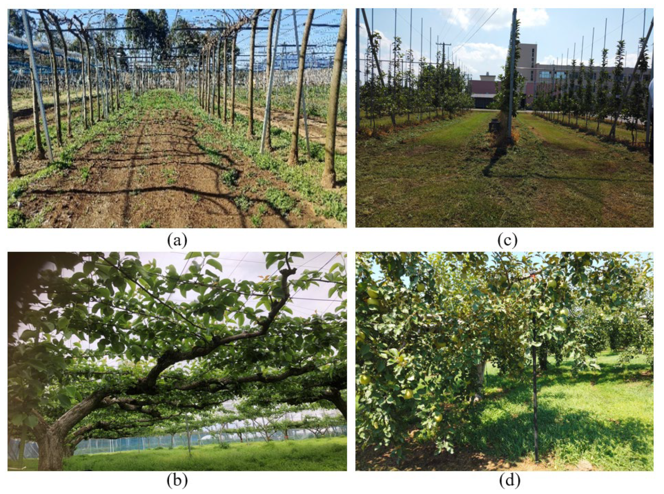 Sensors 23 04808 g031