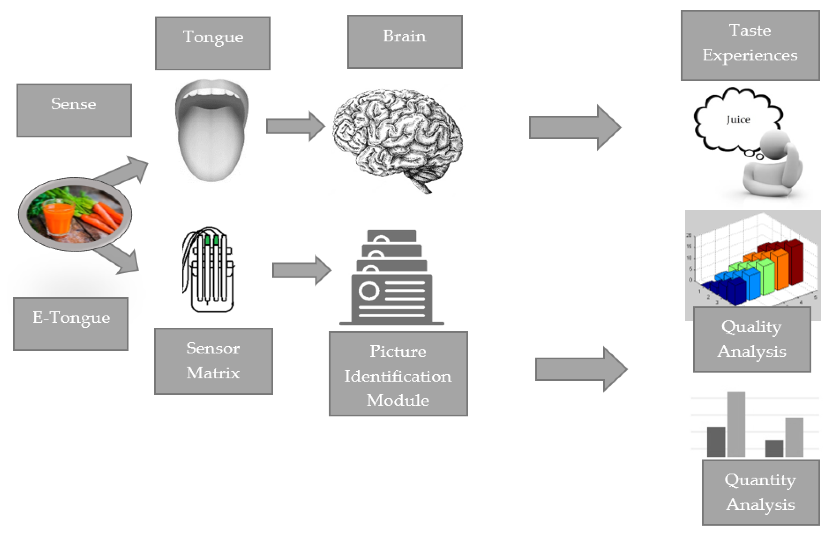 Sensors 23 04824 g005 Sensors 23 04824 g005