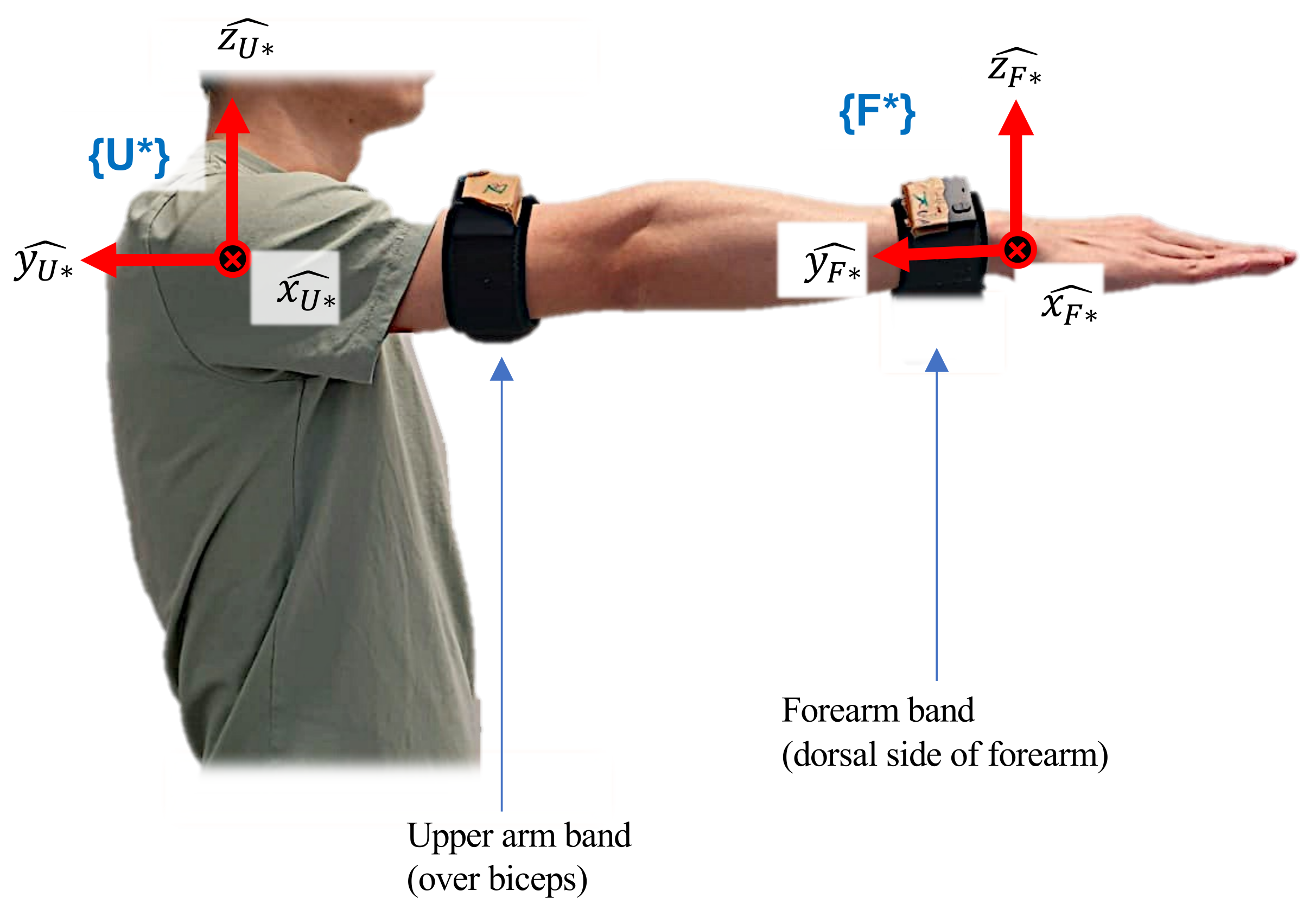 Sensors 23 04863 g002 Sensors 23 04863 g002