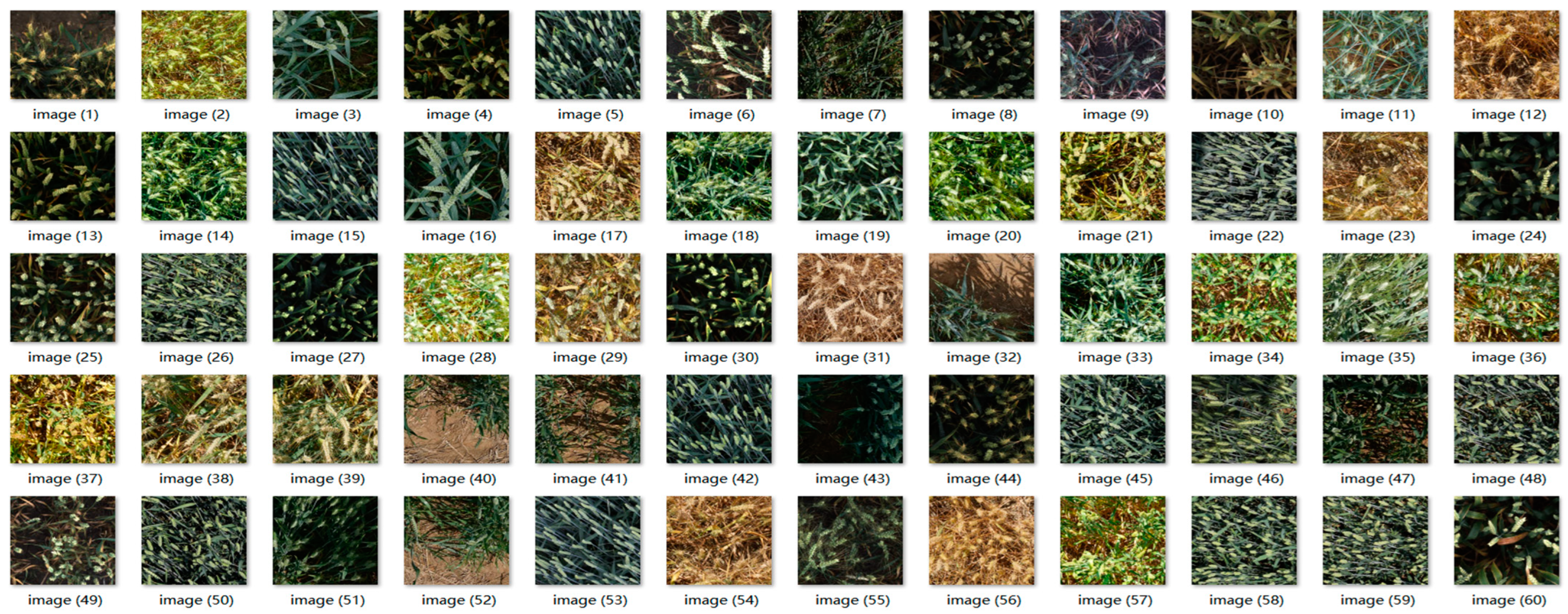 Sensors 23 04880 g002