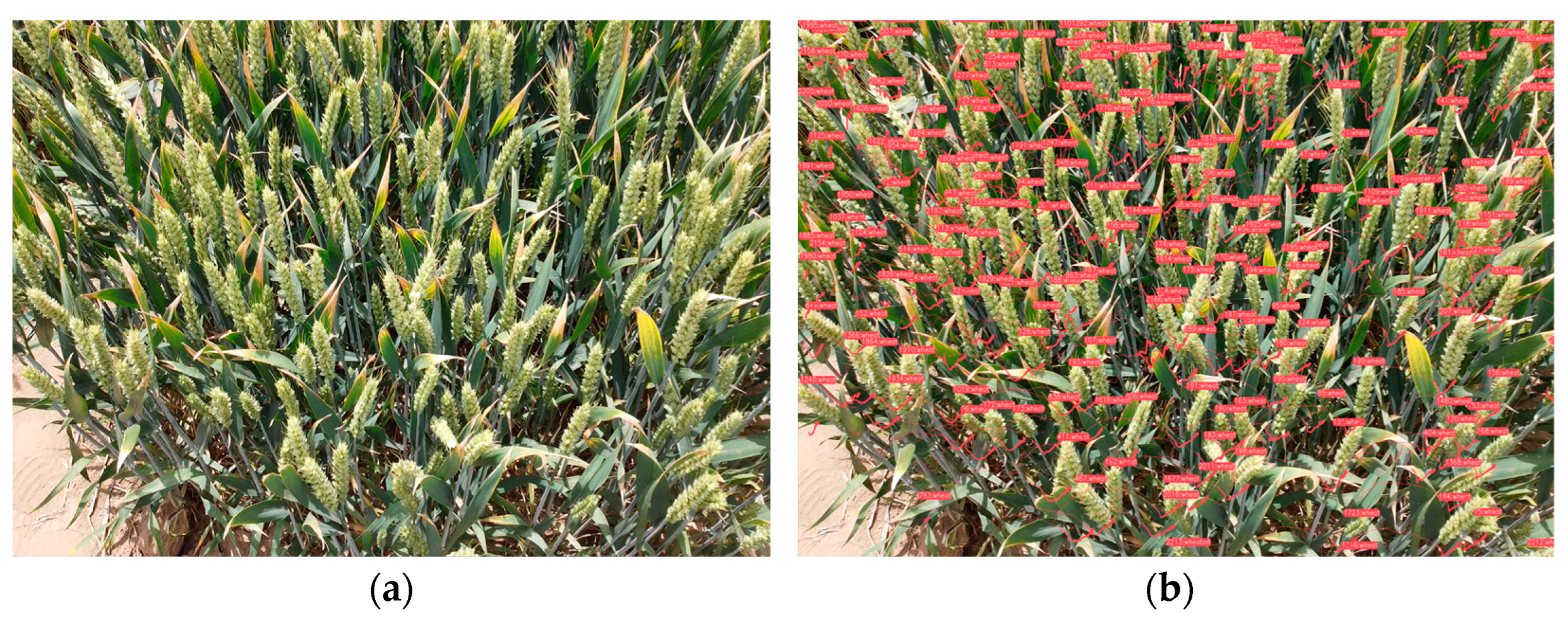 Sensors 23 04880 g013