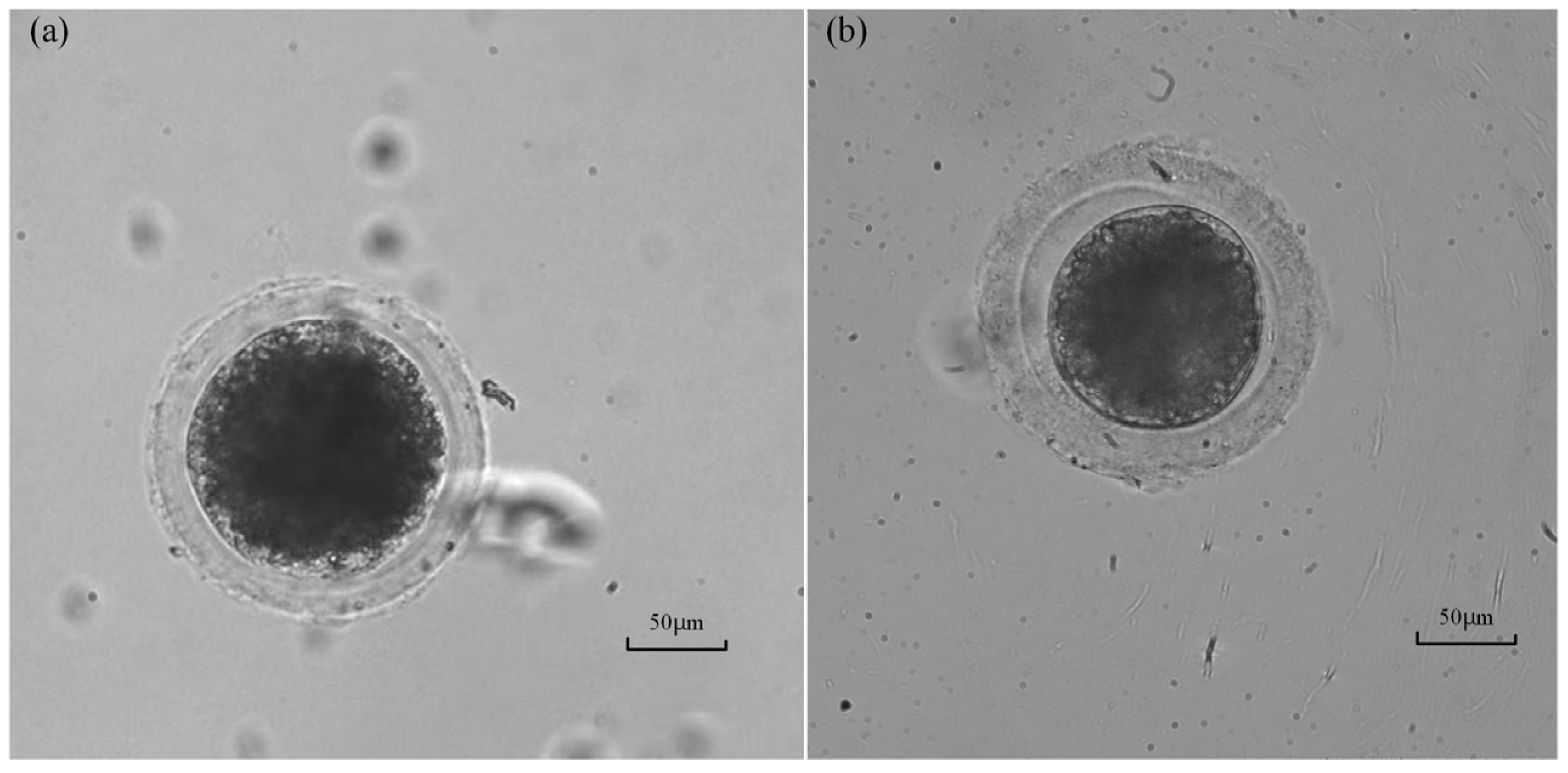 Sensors 23 04973 g012