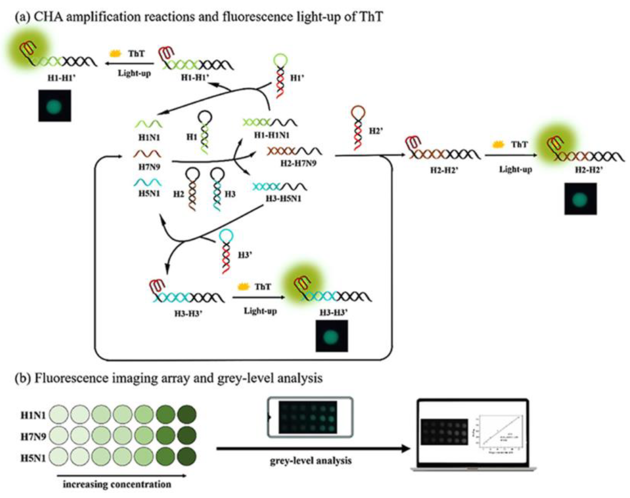 Sensors 23 05018 g002 Sensors 23 05018 g002