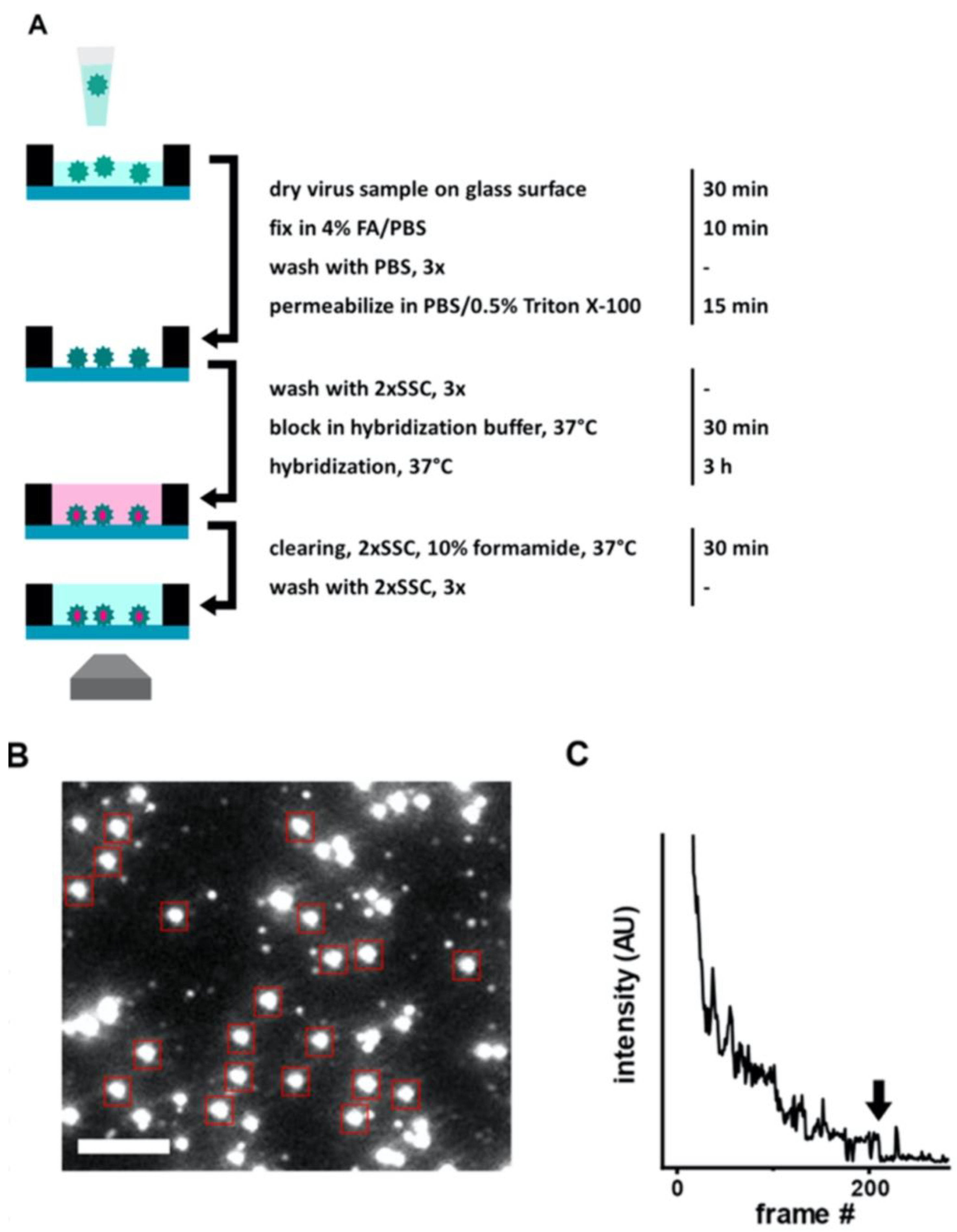Sensors 23 05018 g003 Sensors 23 05018 g003