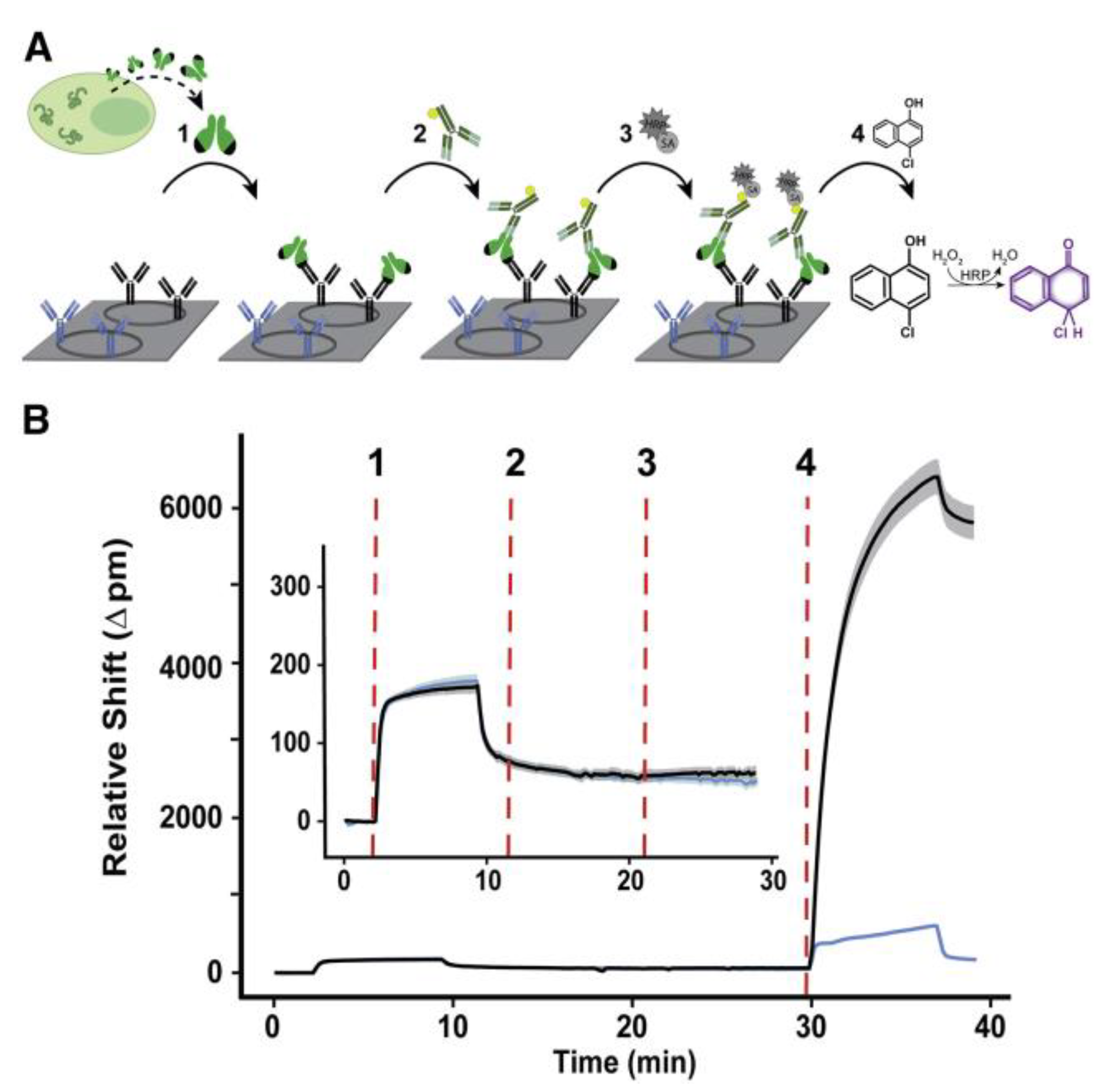 Sensors 23 05018 g013 Sensors 23 05018 g013