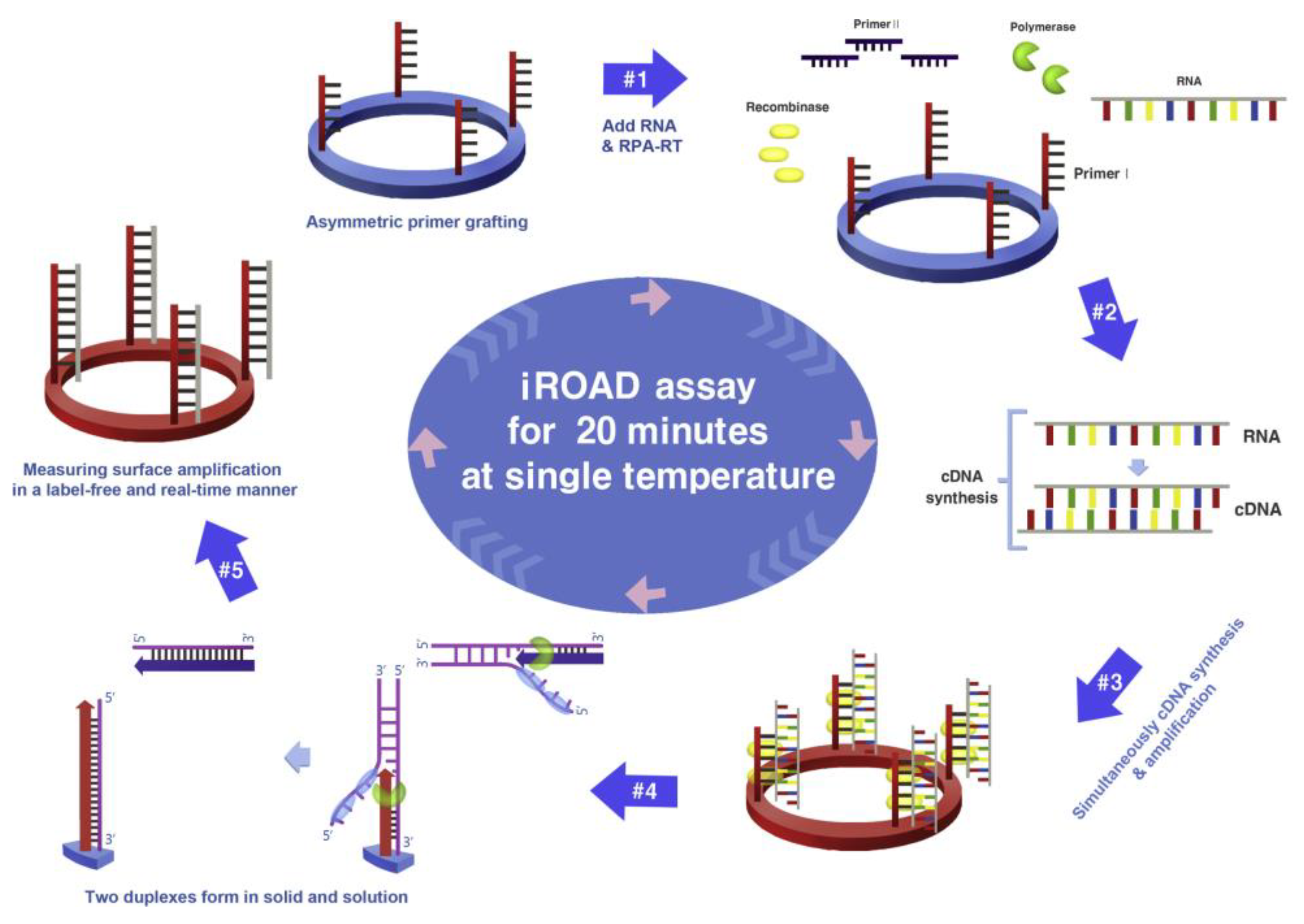 Sensors 23 05018 g014 Sensors 23 05018 g014