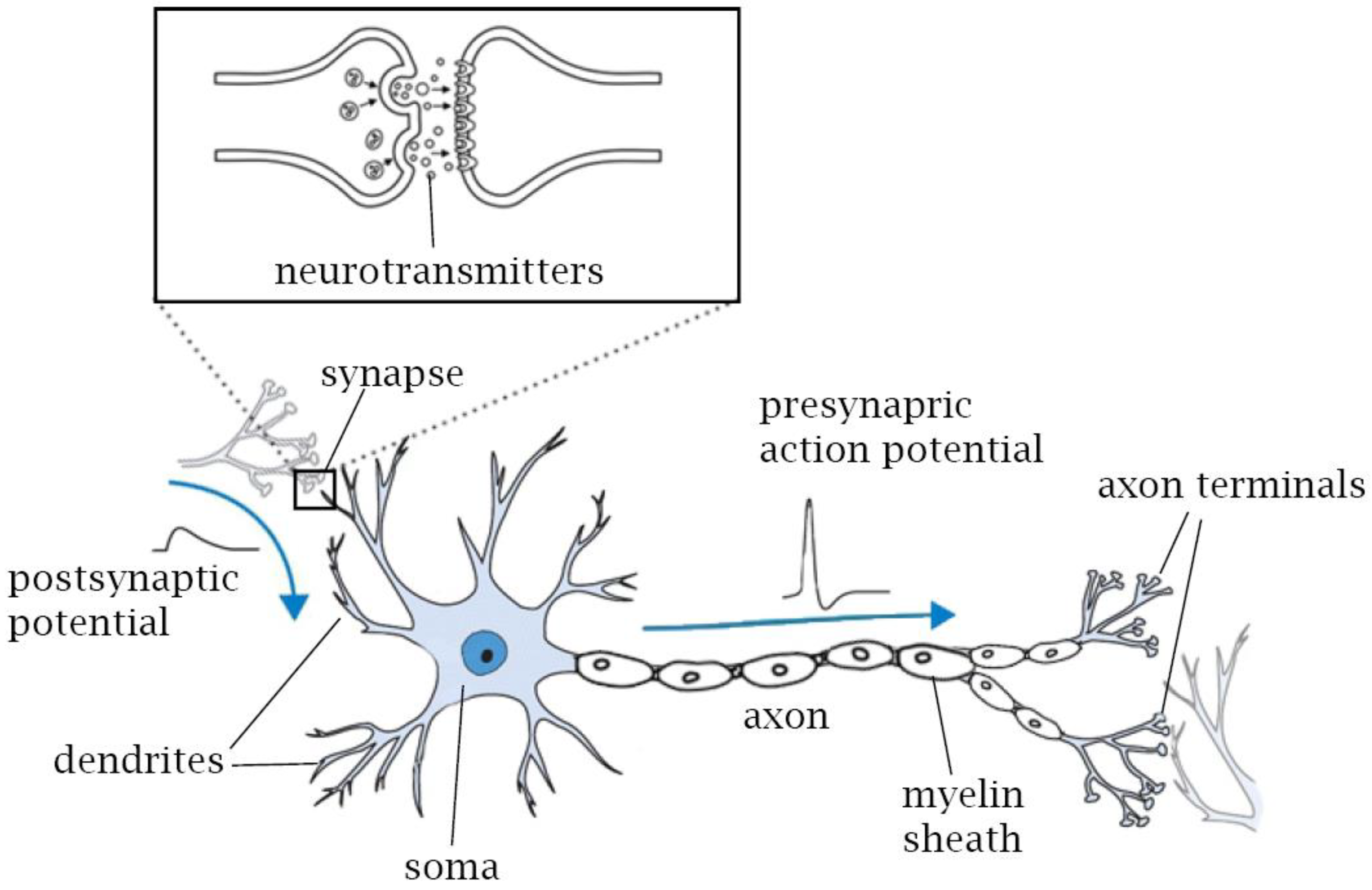 Sensors 23 05074 g003