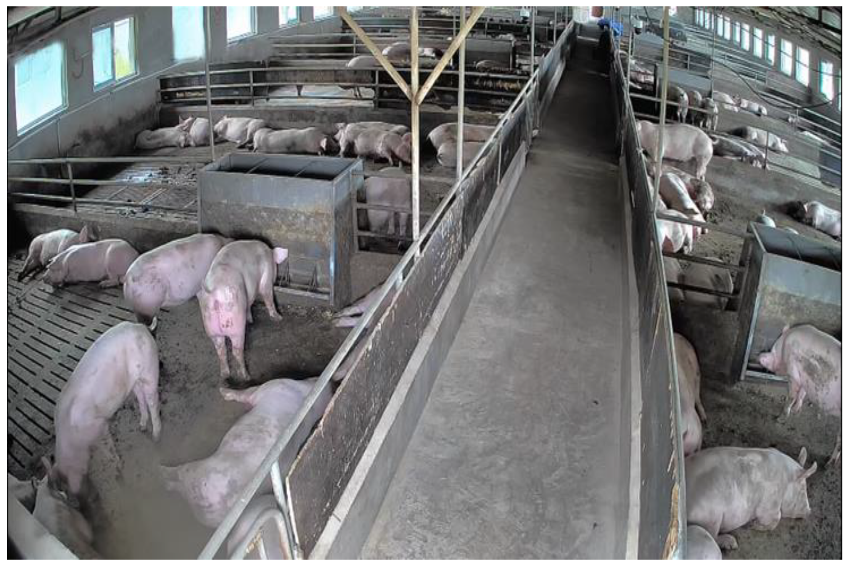 Sensors 23 05092 g001