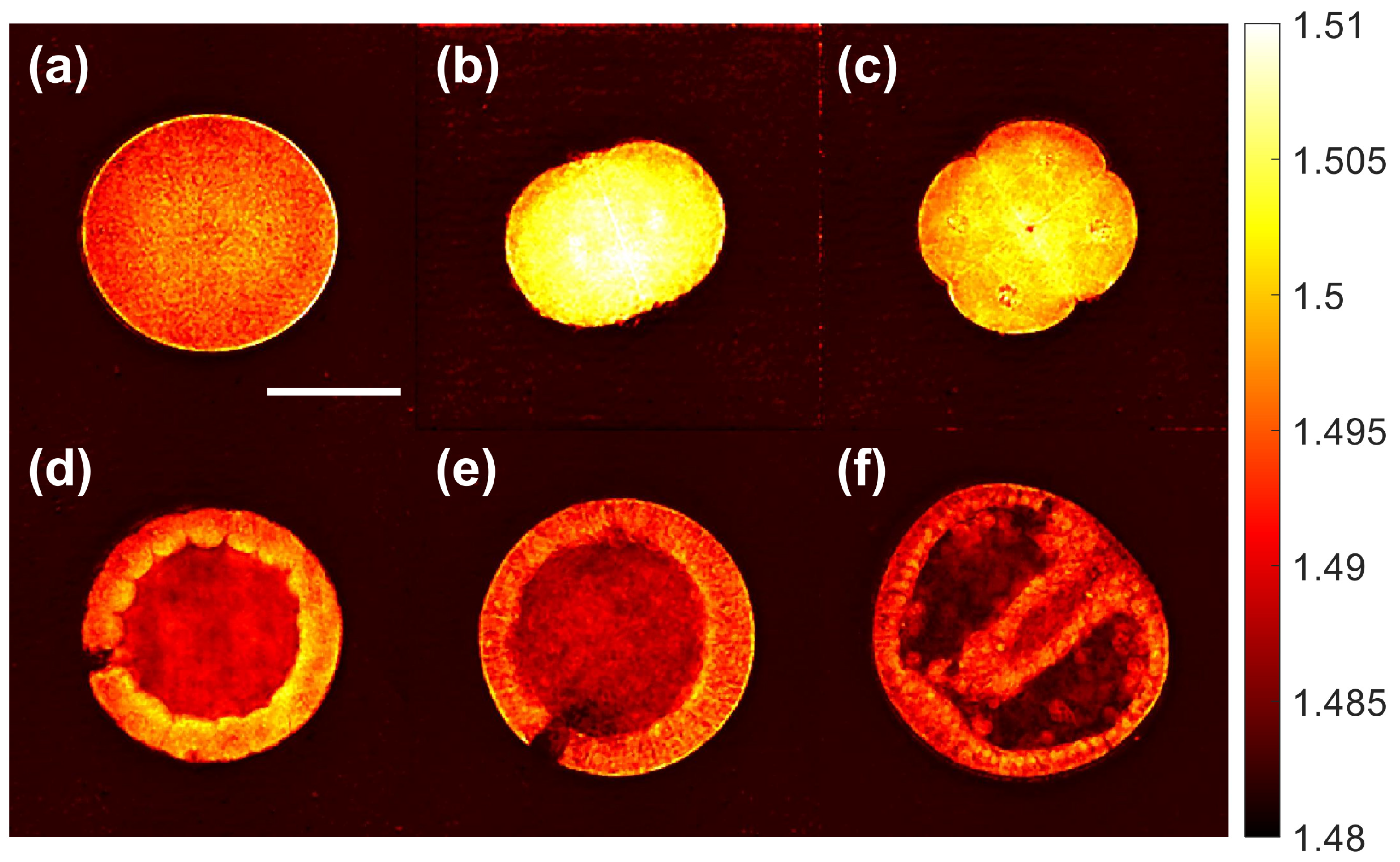 Sensors 23 05164 g006