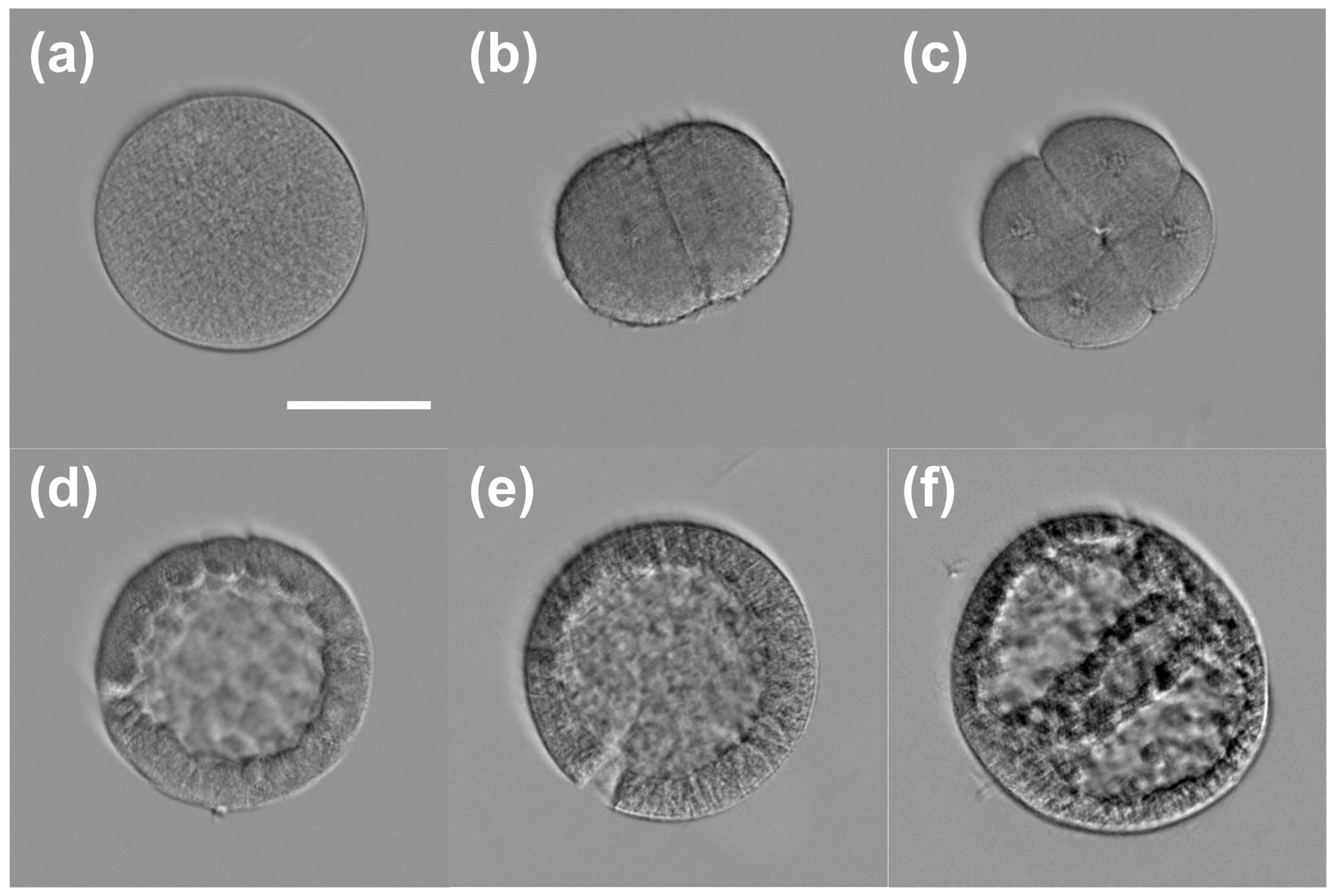 Sensors 23 05164 g007