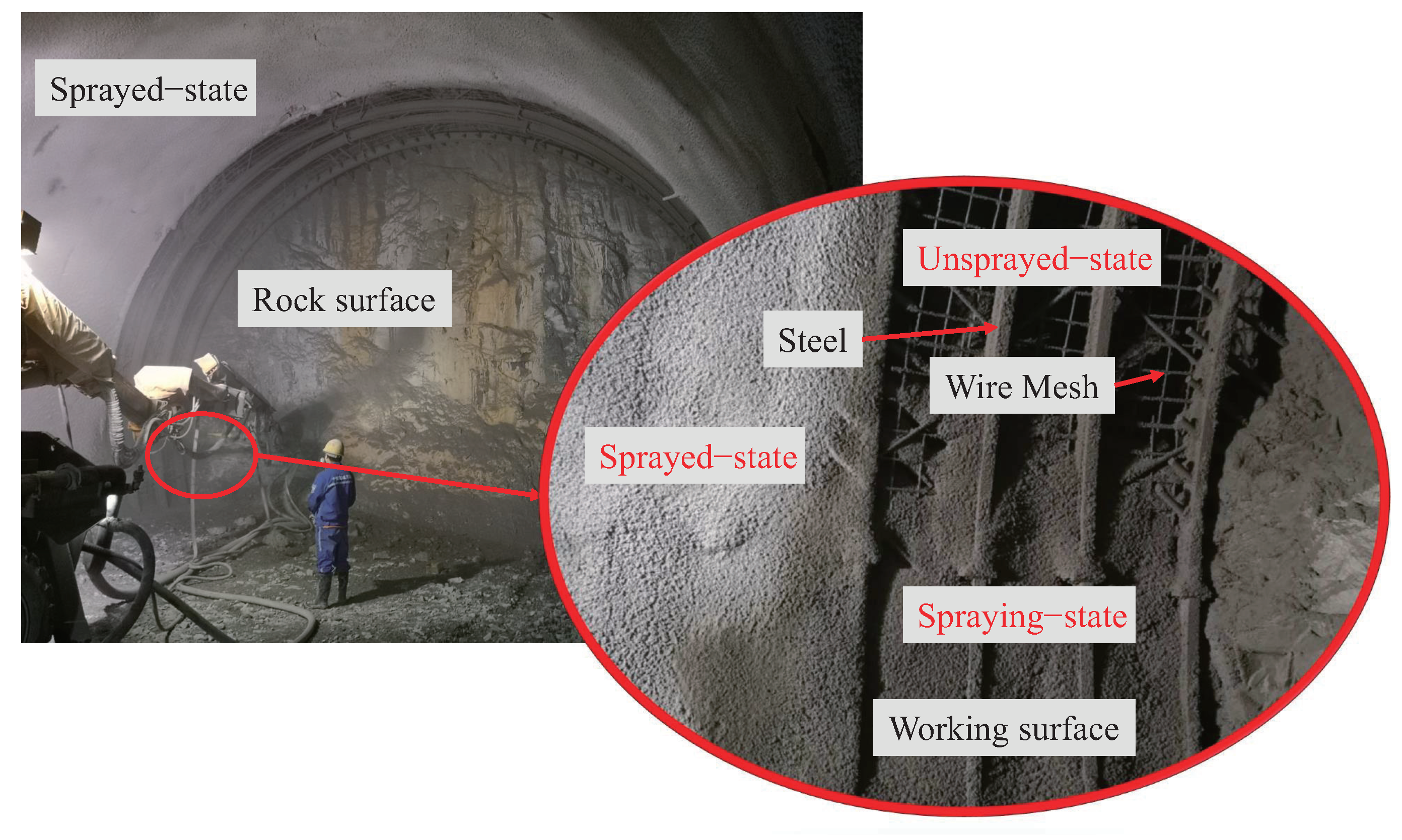 Sensors 23 05167 g001 Sensors 23 05167 g001