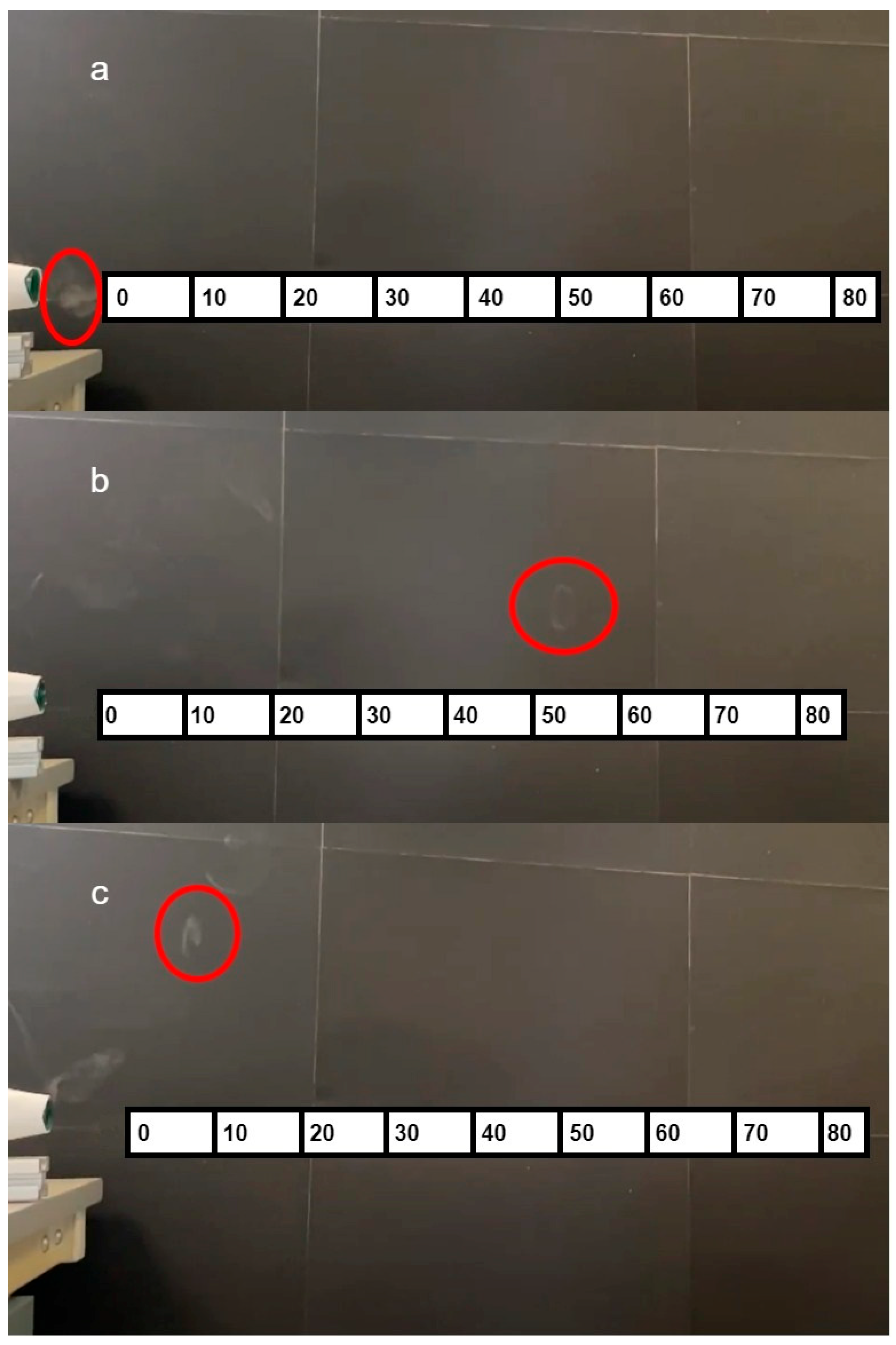 Sensors 23 05189 g005