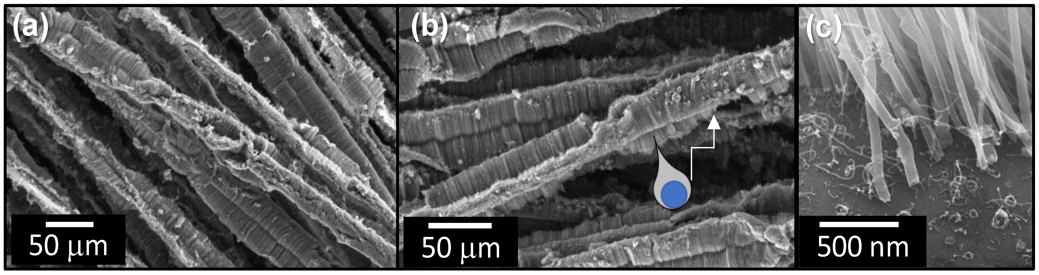 Sensors 23 05190 g004 Sensors 23 05190 g004