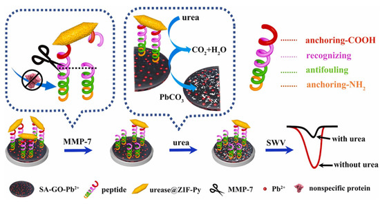 Anti-Fouling Strategies of Electrochemical Sensors for Tumor