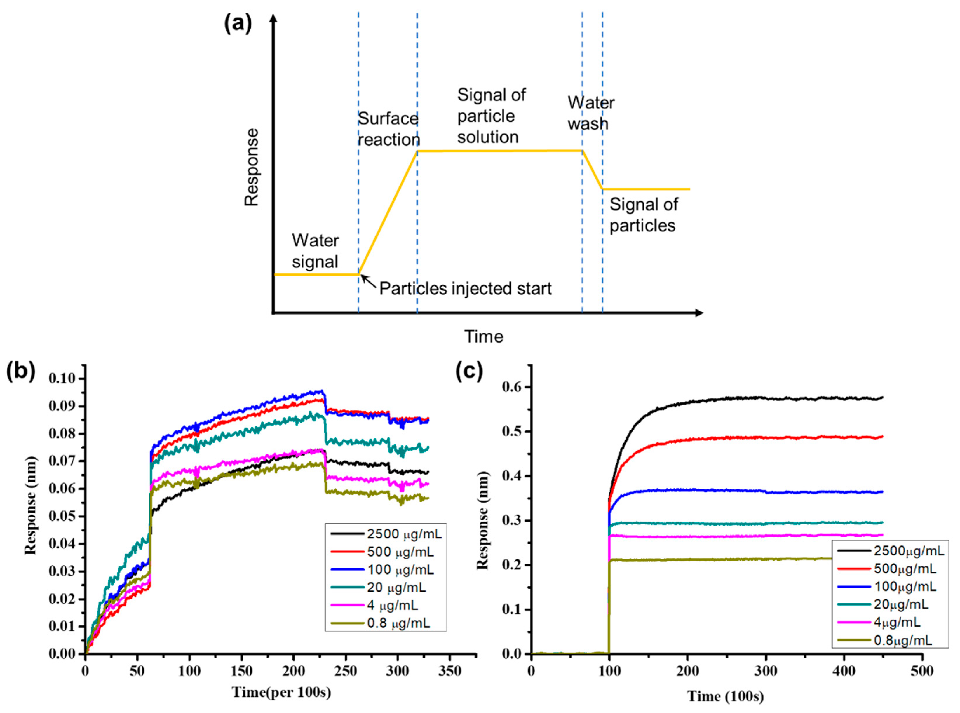 Sensors 23 05216 g004
