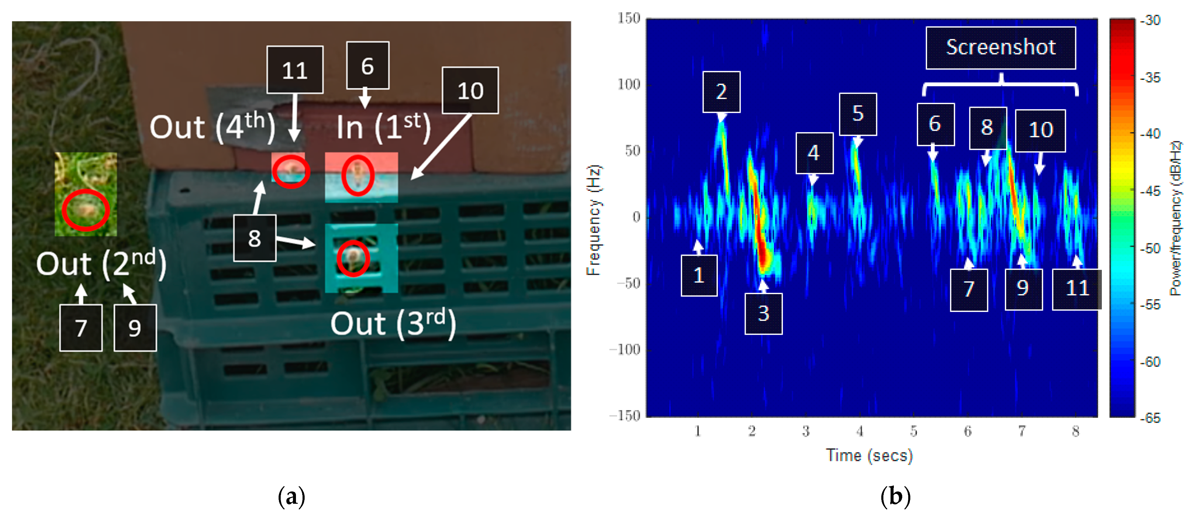 Sensors 23 05250 g007