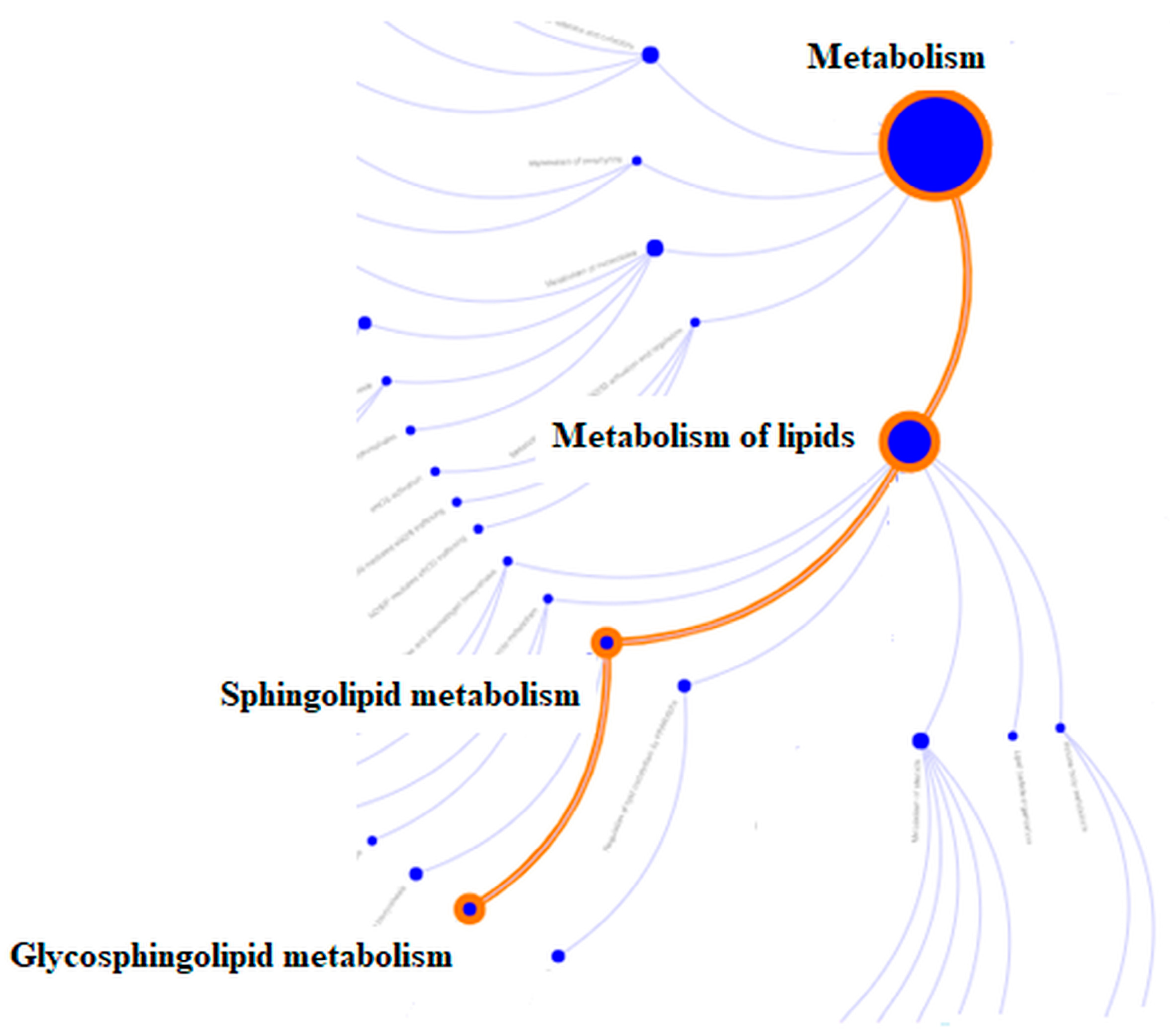 Sensors 23 05251 g006 Sensors 23 05251 g006