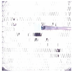 Sensors 23 05253 i005