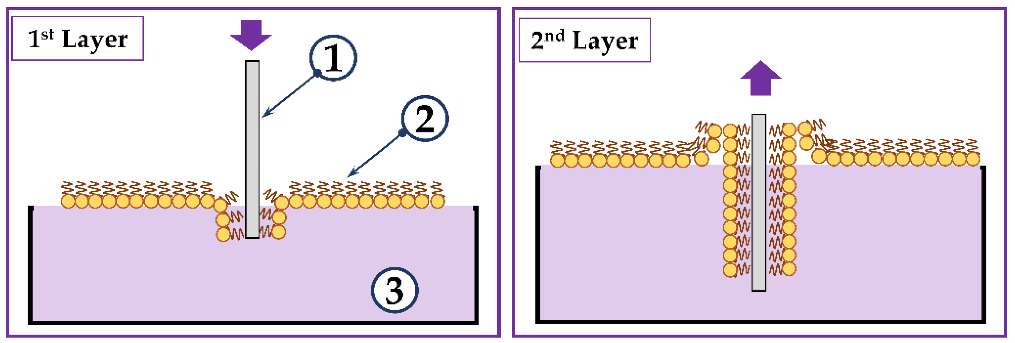 Sensors 23 05290 g002 Sensors 23 05290 g002