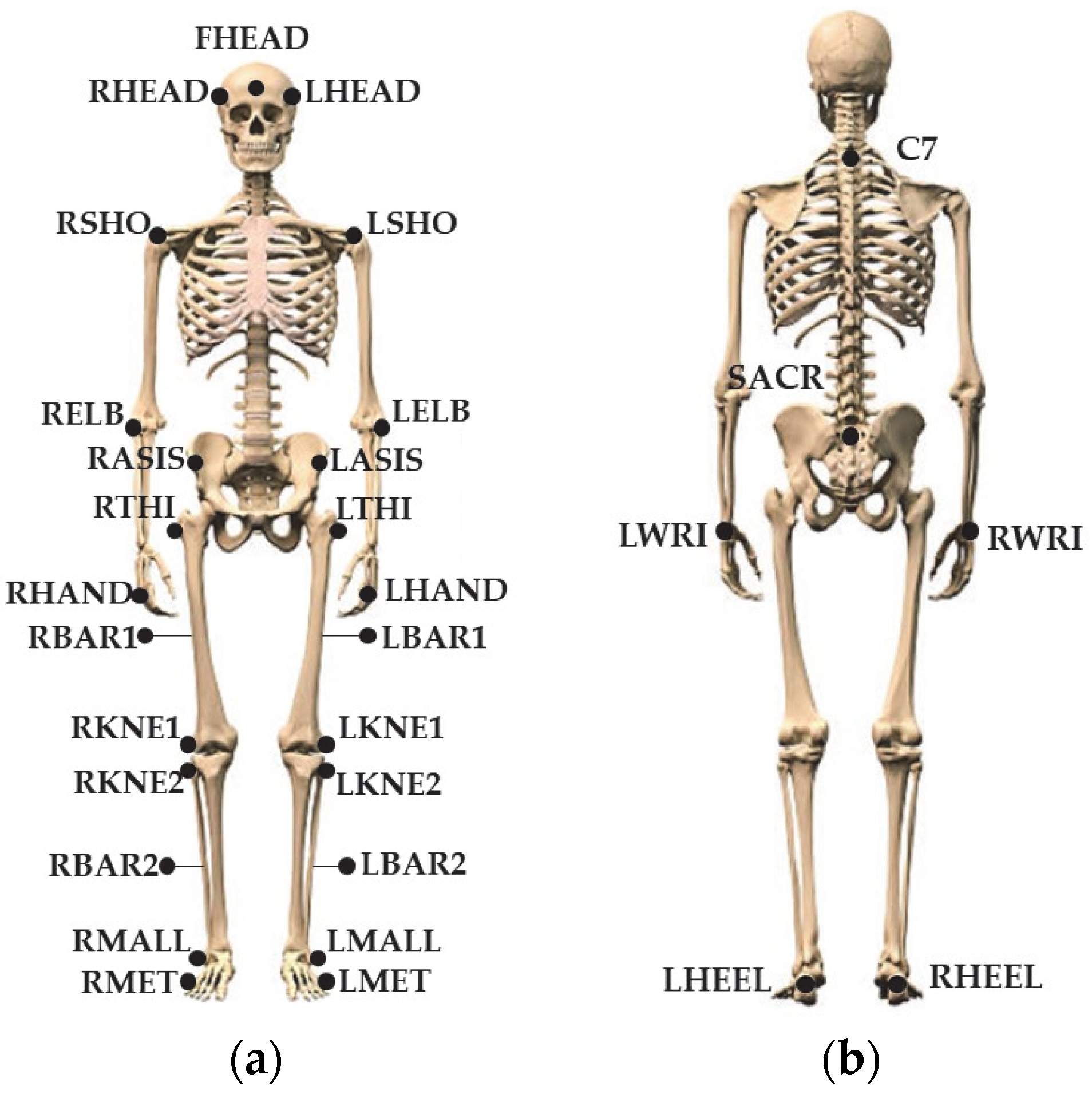 Sensors 23 05309 g004
