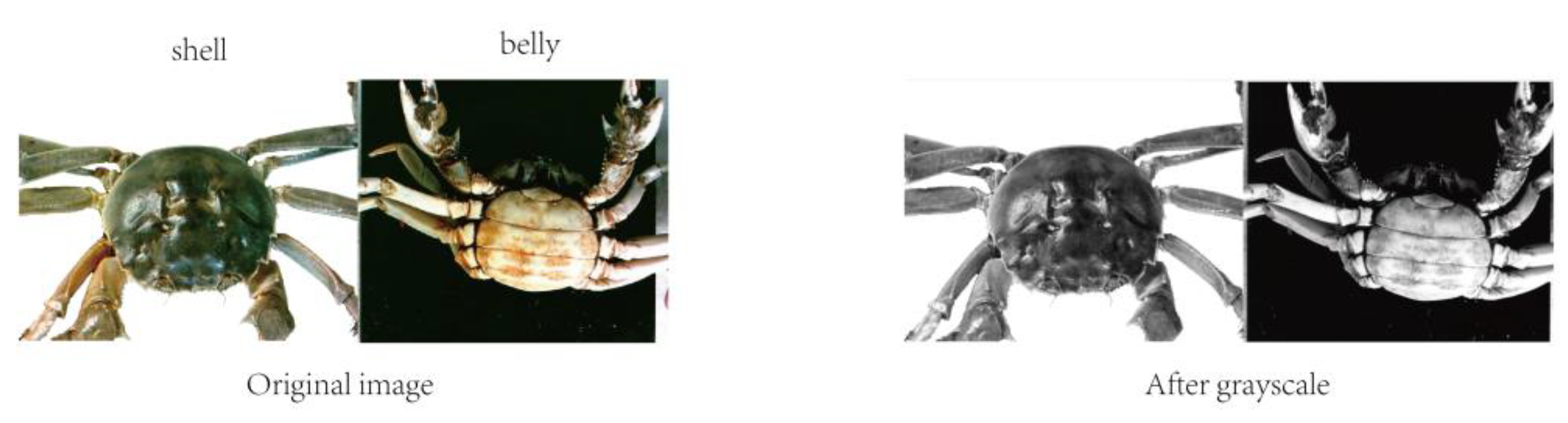 Sensors 23 05317 g003 Sensors 23 05317 g003