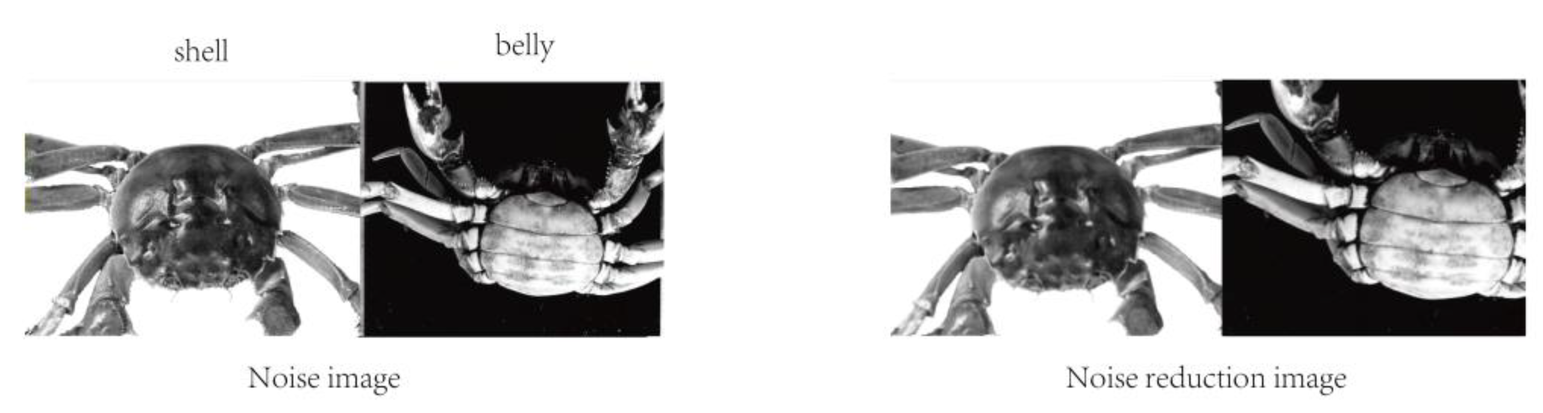 Sensors 23 05317 g004 Sensors 23 05317 g004