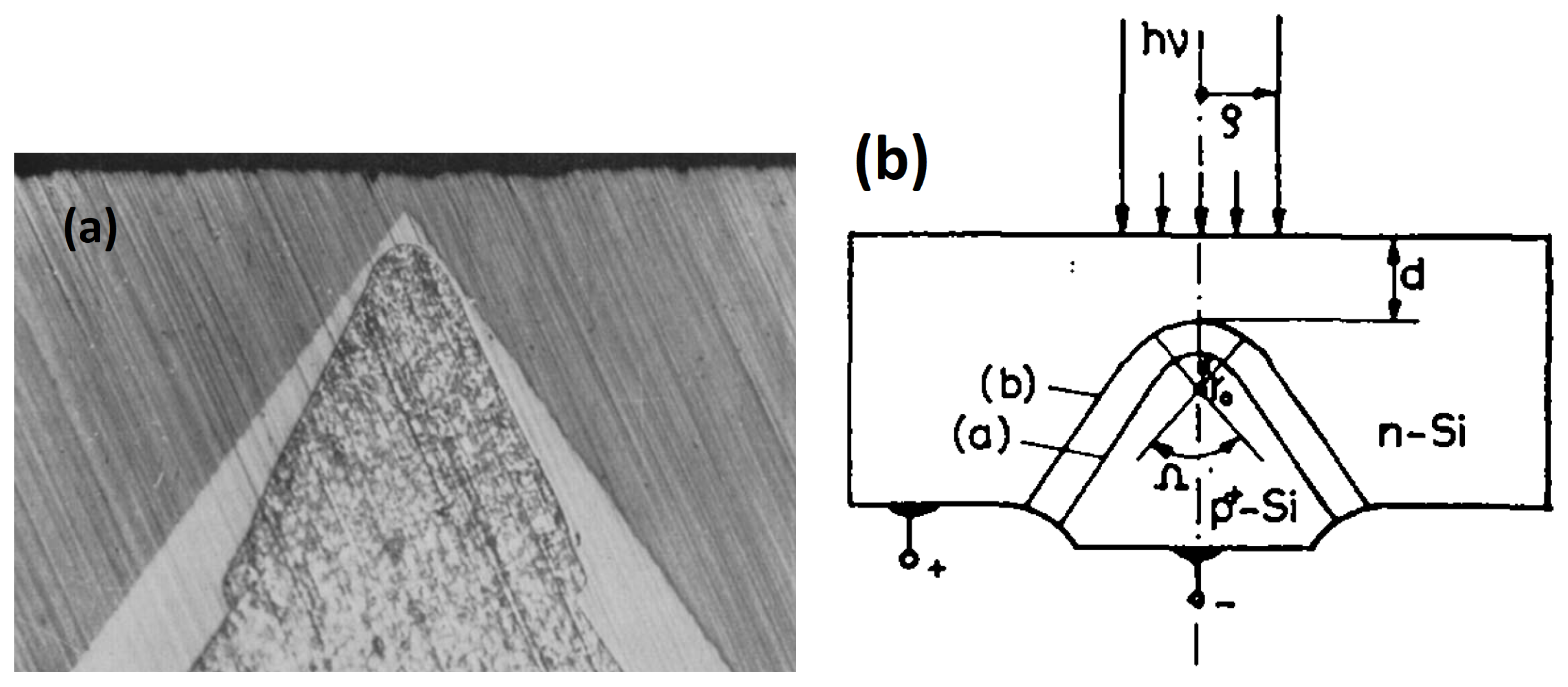 Sensors 23 05369 g001