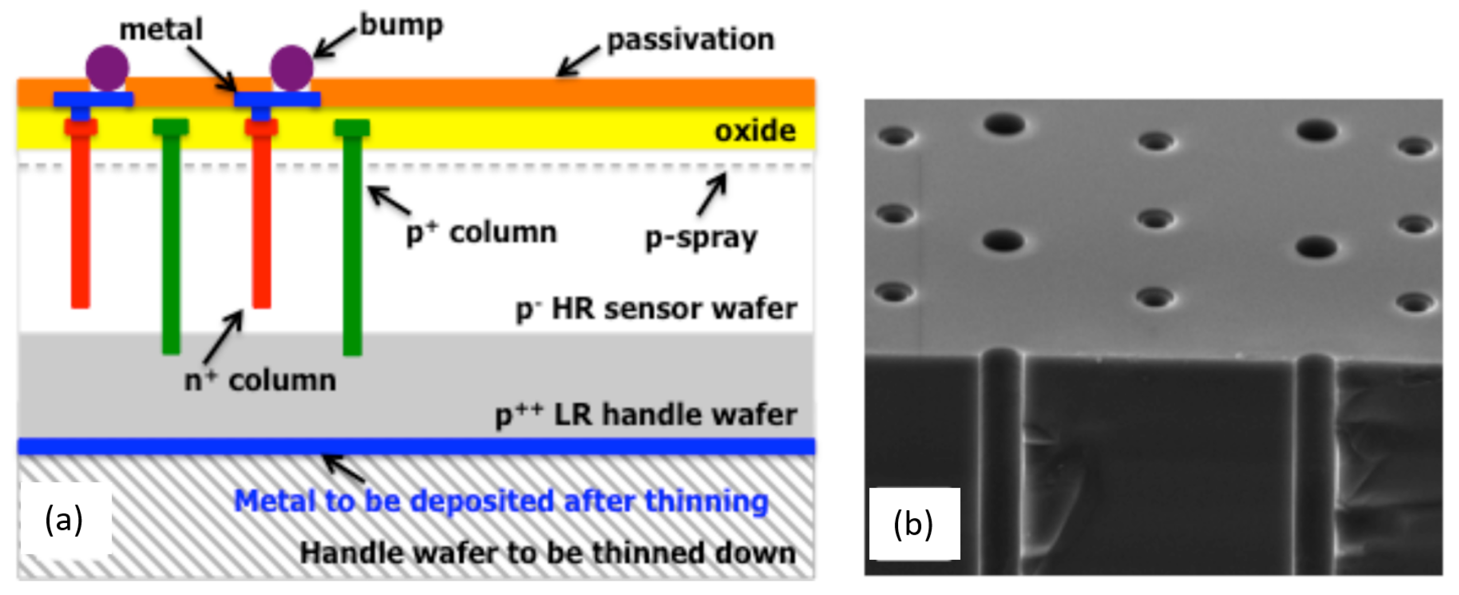 Sensors 23 05369 g010