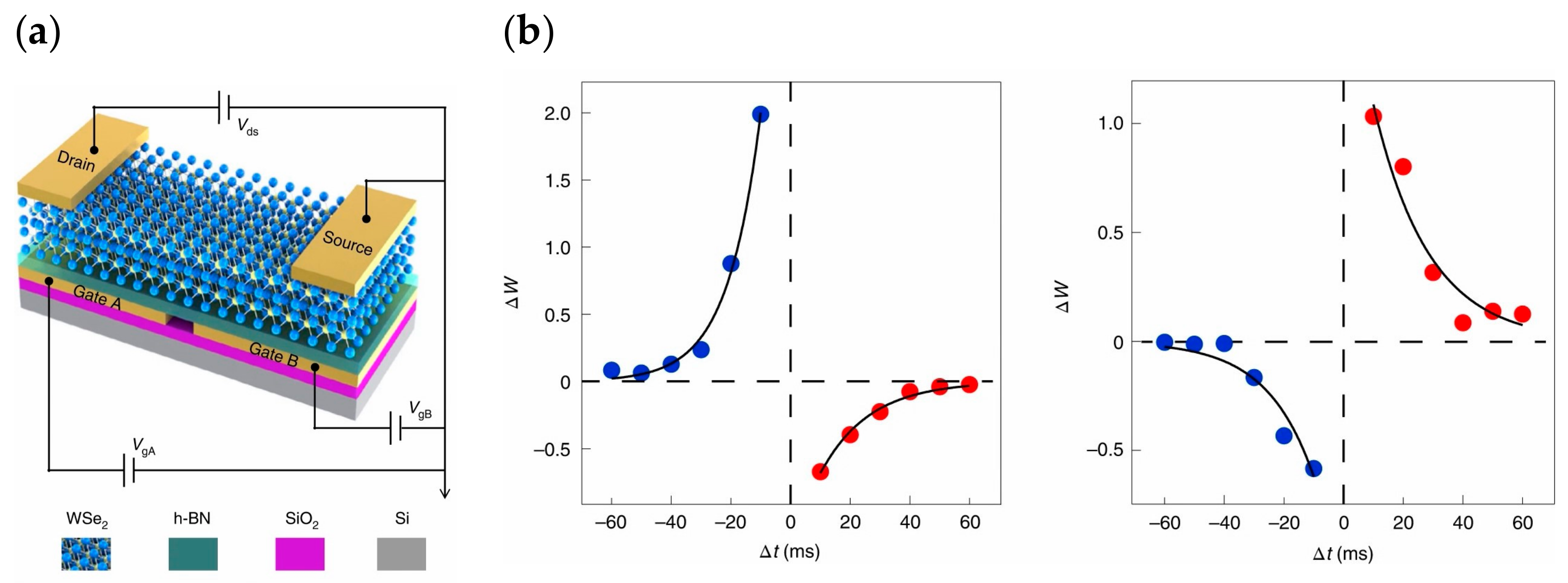Sensors 23 05413 g005 Sensors 23 05413 g005