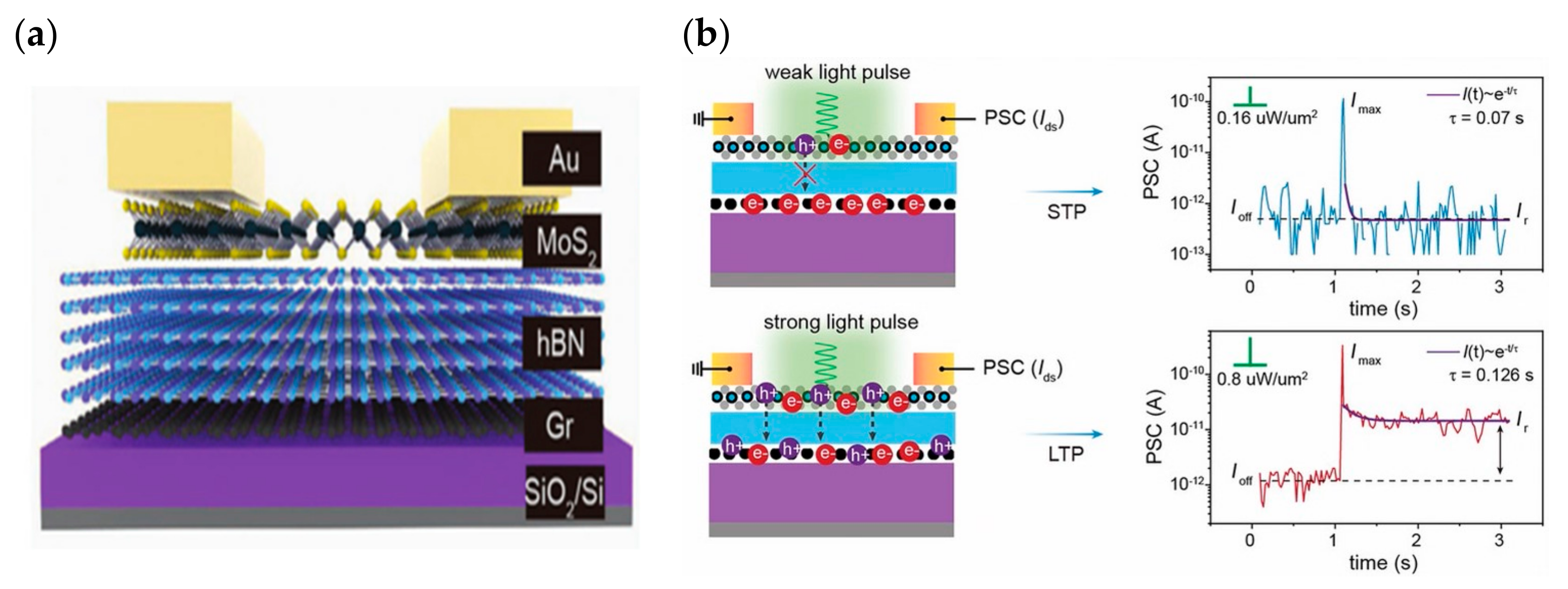 Sensors 23 05413 g011 Sensors 23 05413 g011