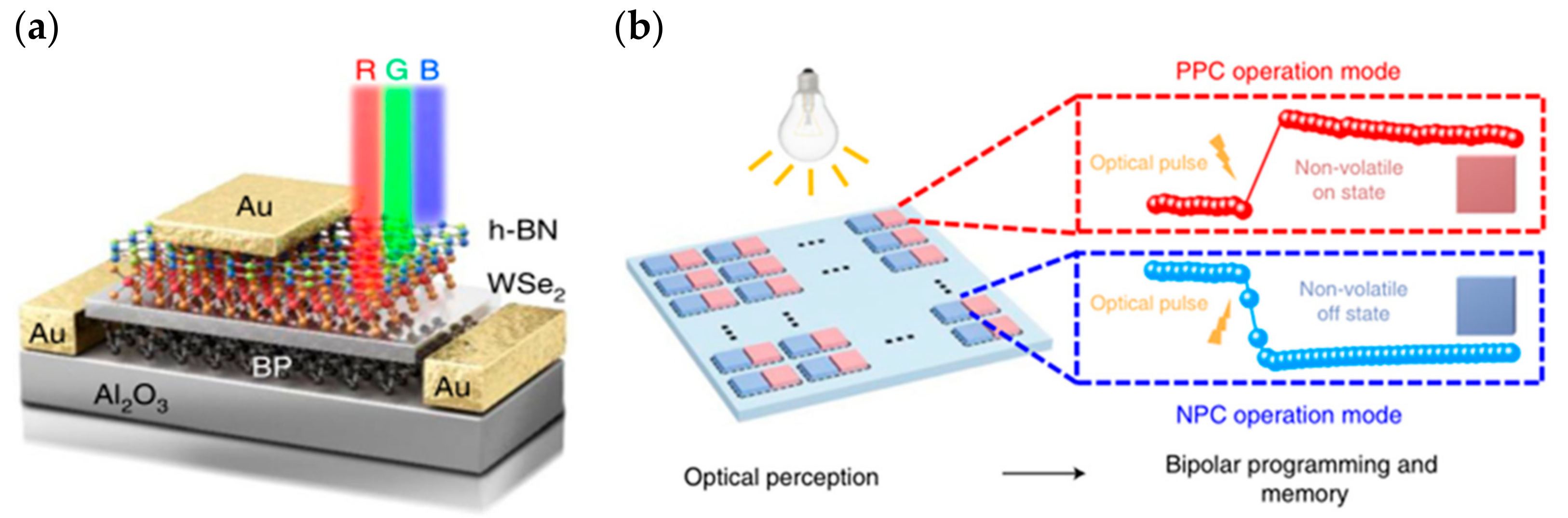 Sensors 23 05413 g014 Sensors 23 05413 g014