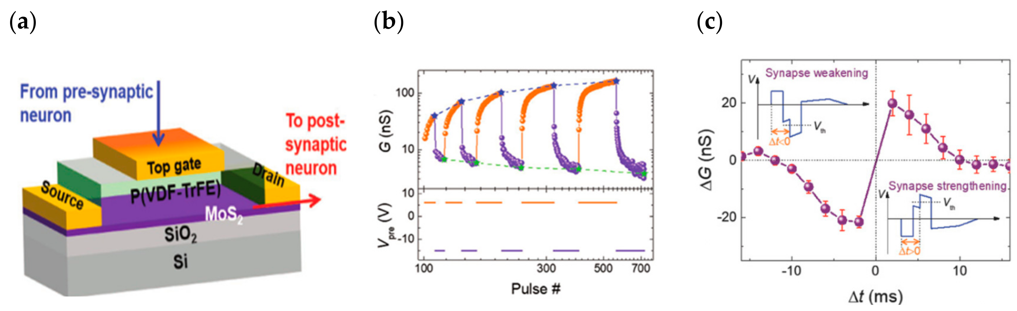 Sensors 23 05413 g024 Sensors 23 05413 g024
